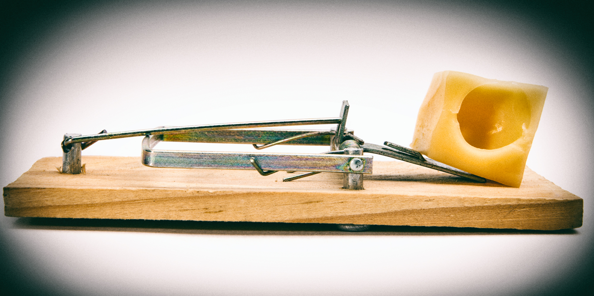 A Ponzi scheme by another name: The case of Invest200