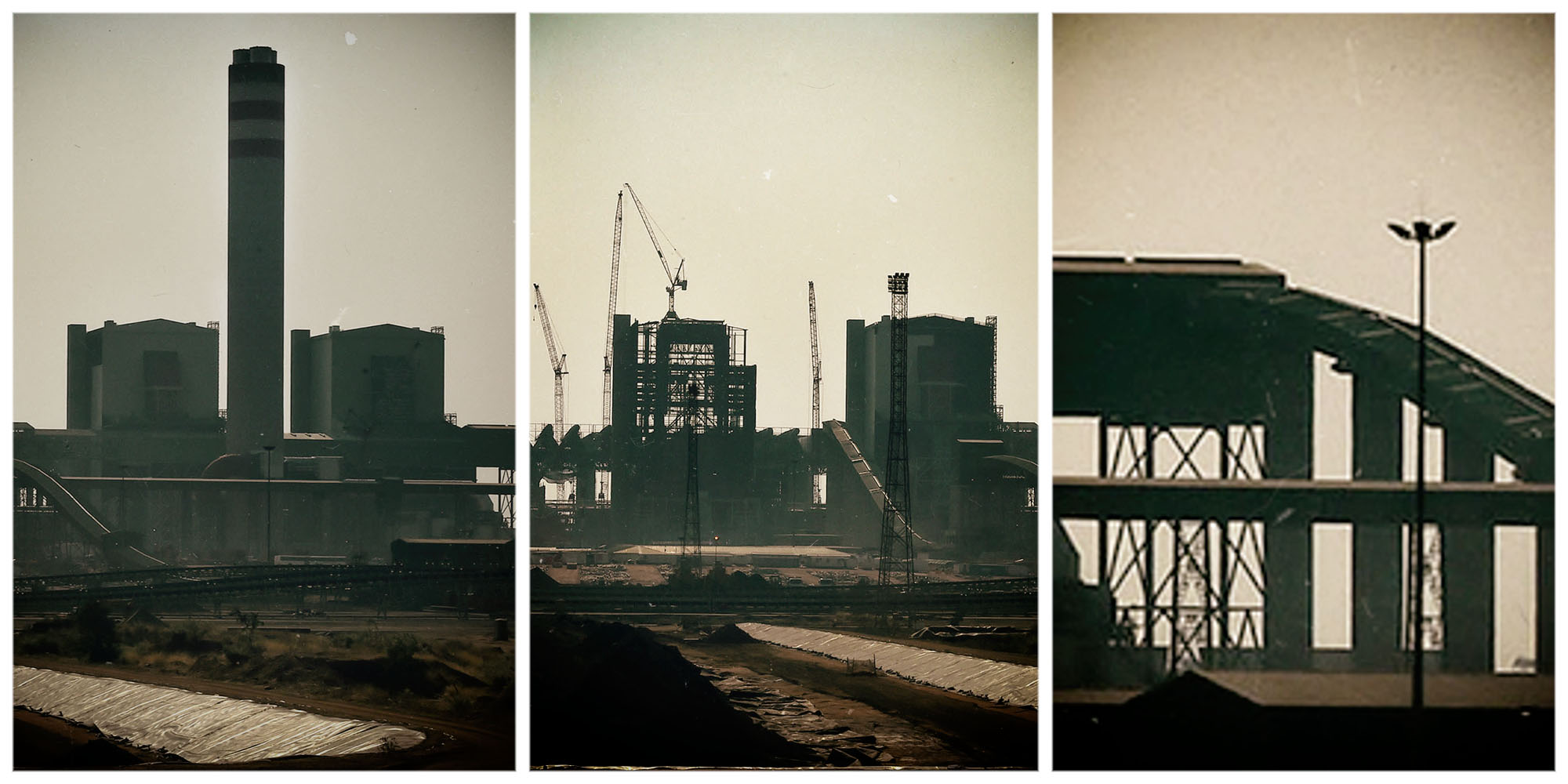 Murray & Roberts: A game of cat and mouse