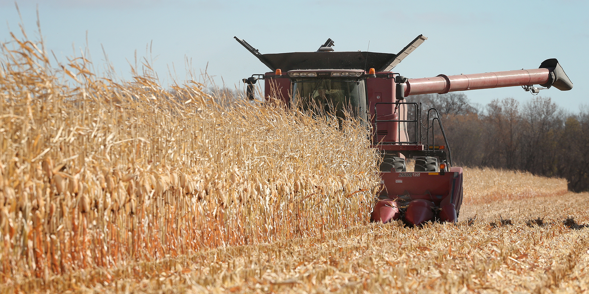 Omnia mulls over future of its portfolio star