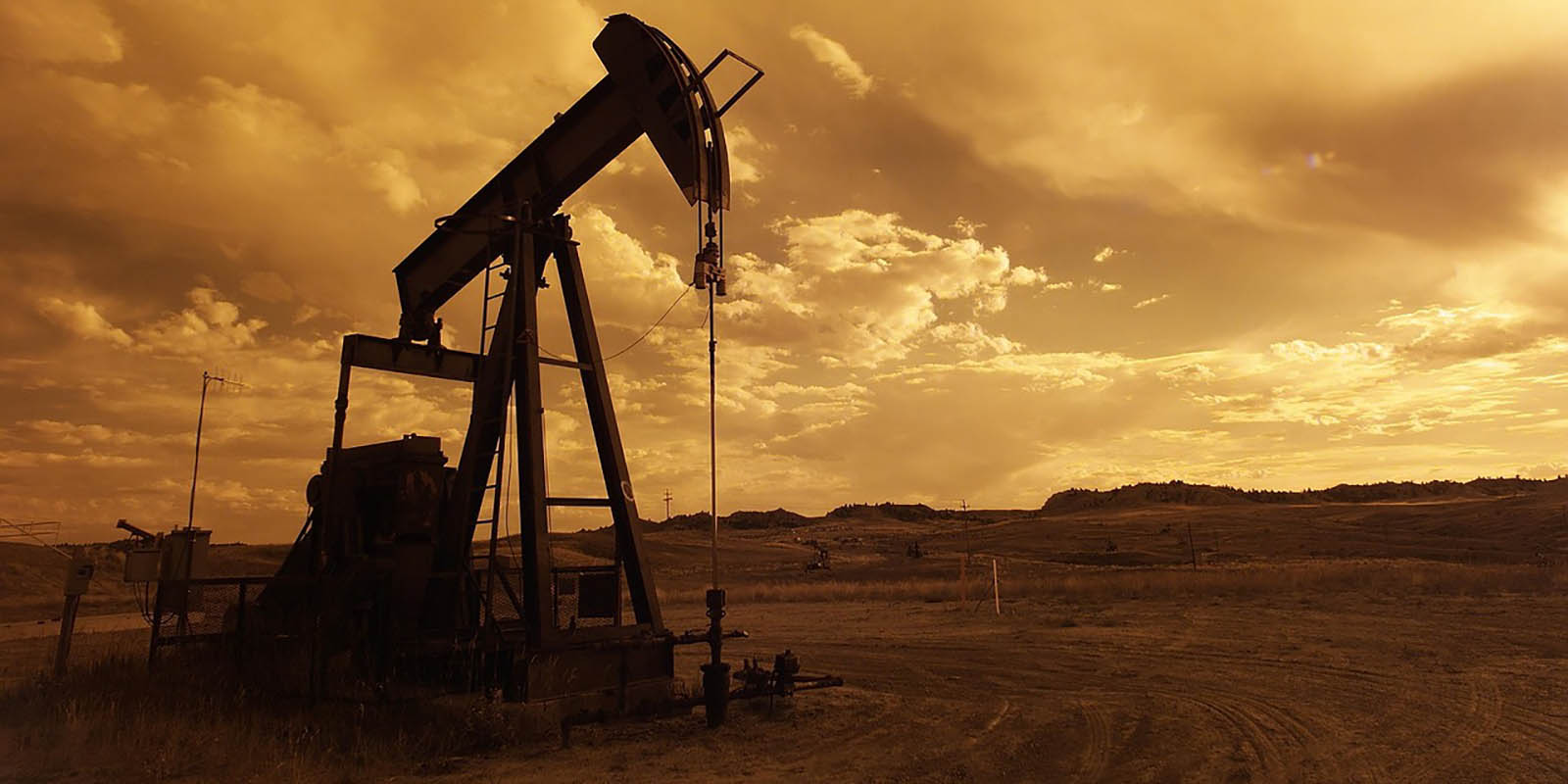 Junior oil and gas explorers dive in at the deep end