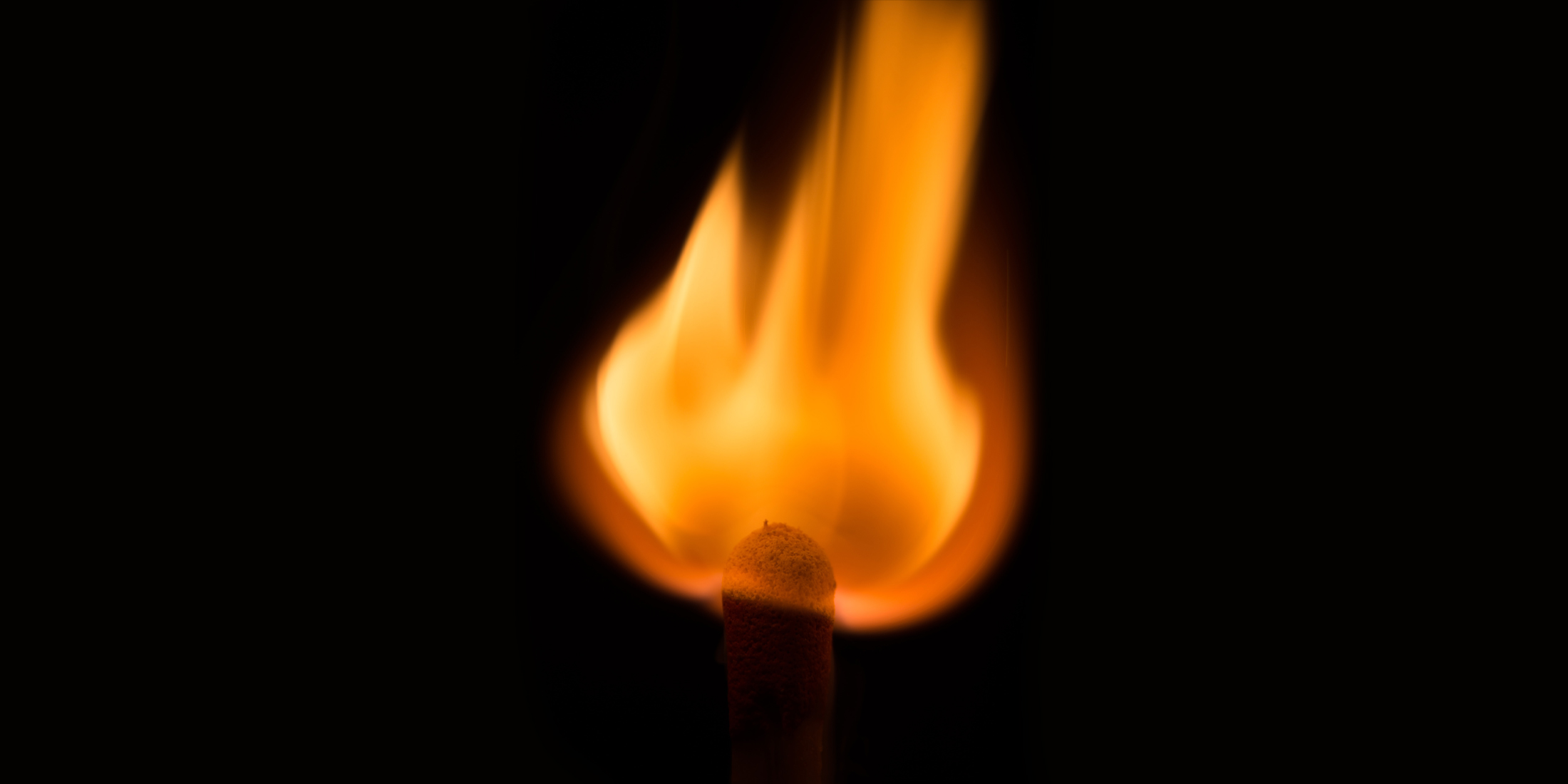 FROM OUR ARCHIVES: Message to Eskom: Screw You! (The sequel)