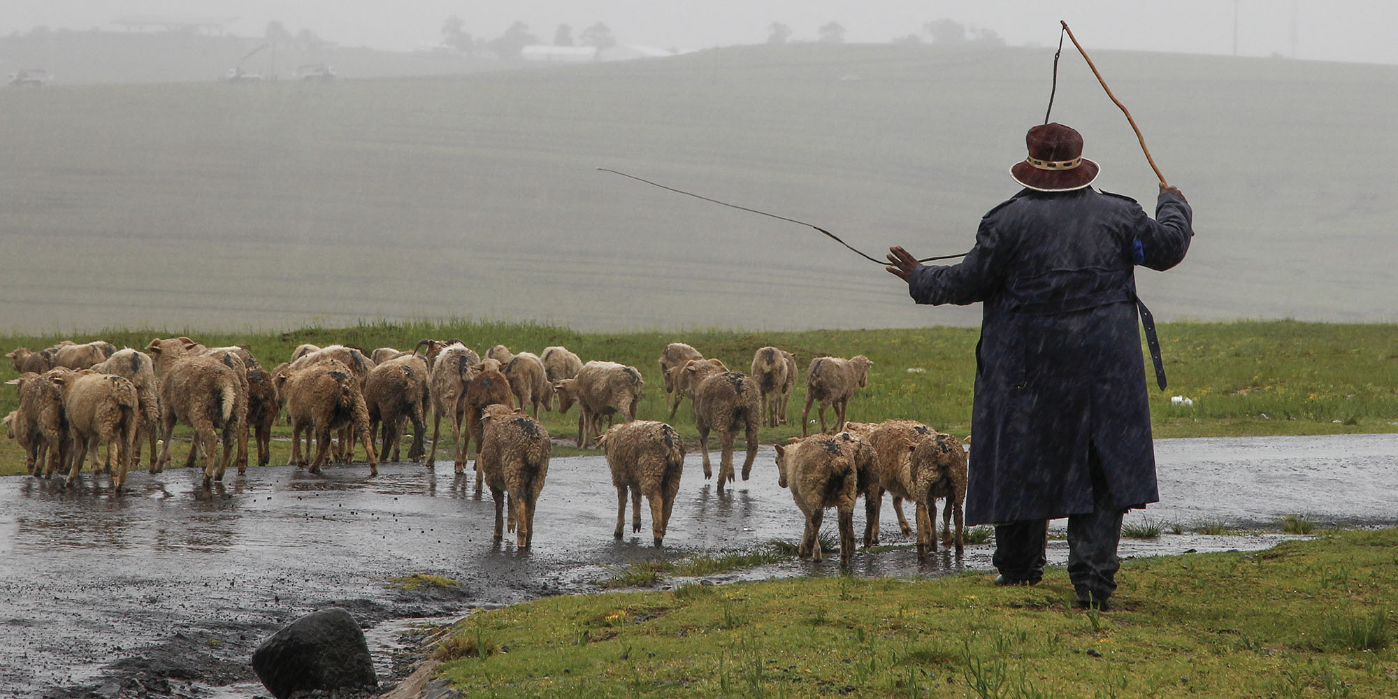 DA introduces rural crime plan amid union's accusations of elitism