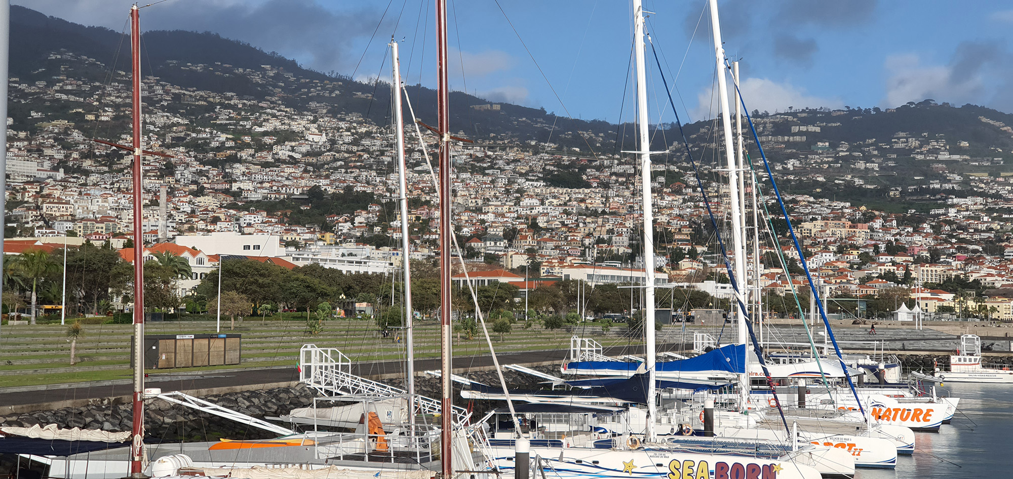 Remote Portuguese island to house world’s first ‘digital nomad village’