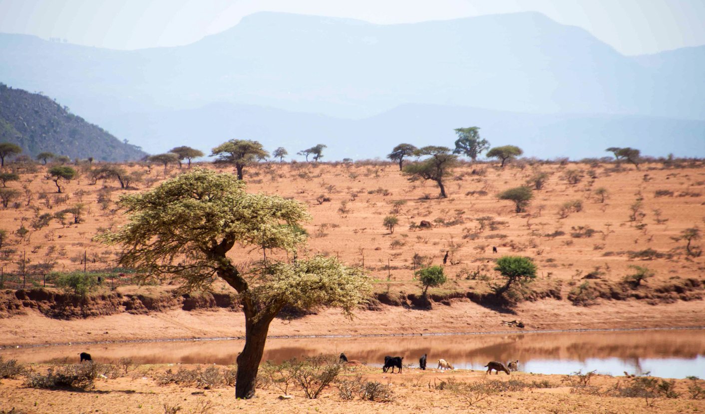 After the Drought: The rains have come to Msinga, but the devastation still remains