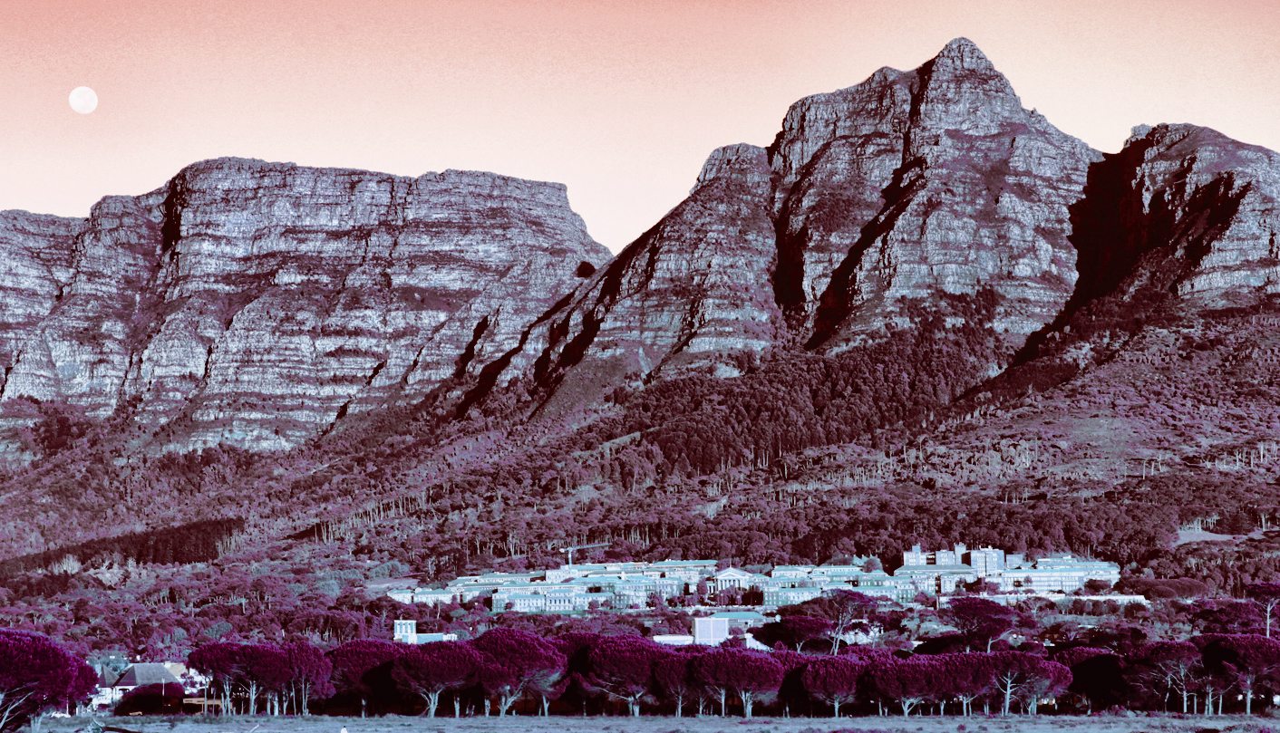 Letter to the Editor: Morally blind to cruelty against animals