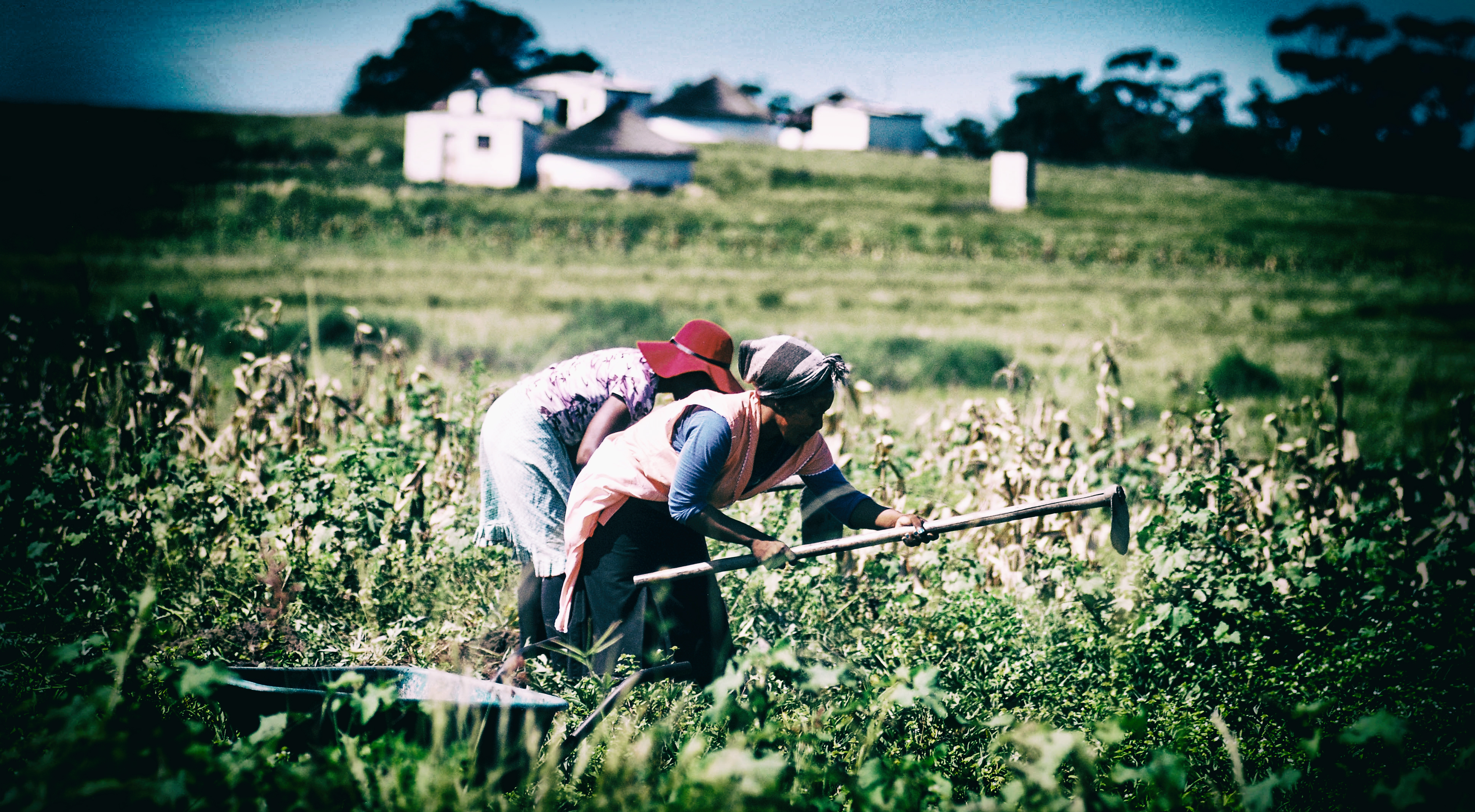 Communal Land Rights Bill ignores community views, conference told
