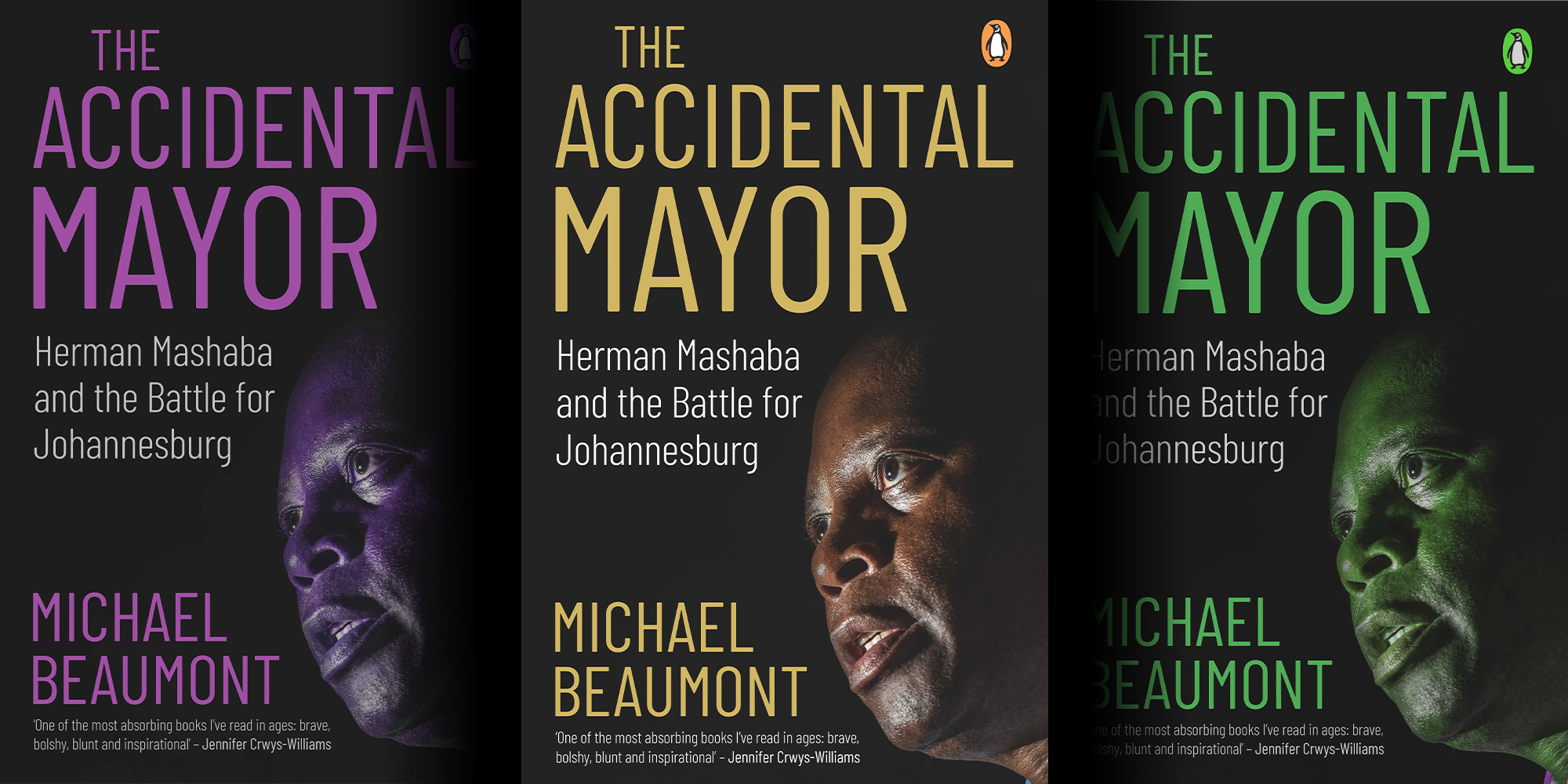 The Accidental Mayor: Herman Mashaba and the Battle for Johannesburg