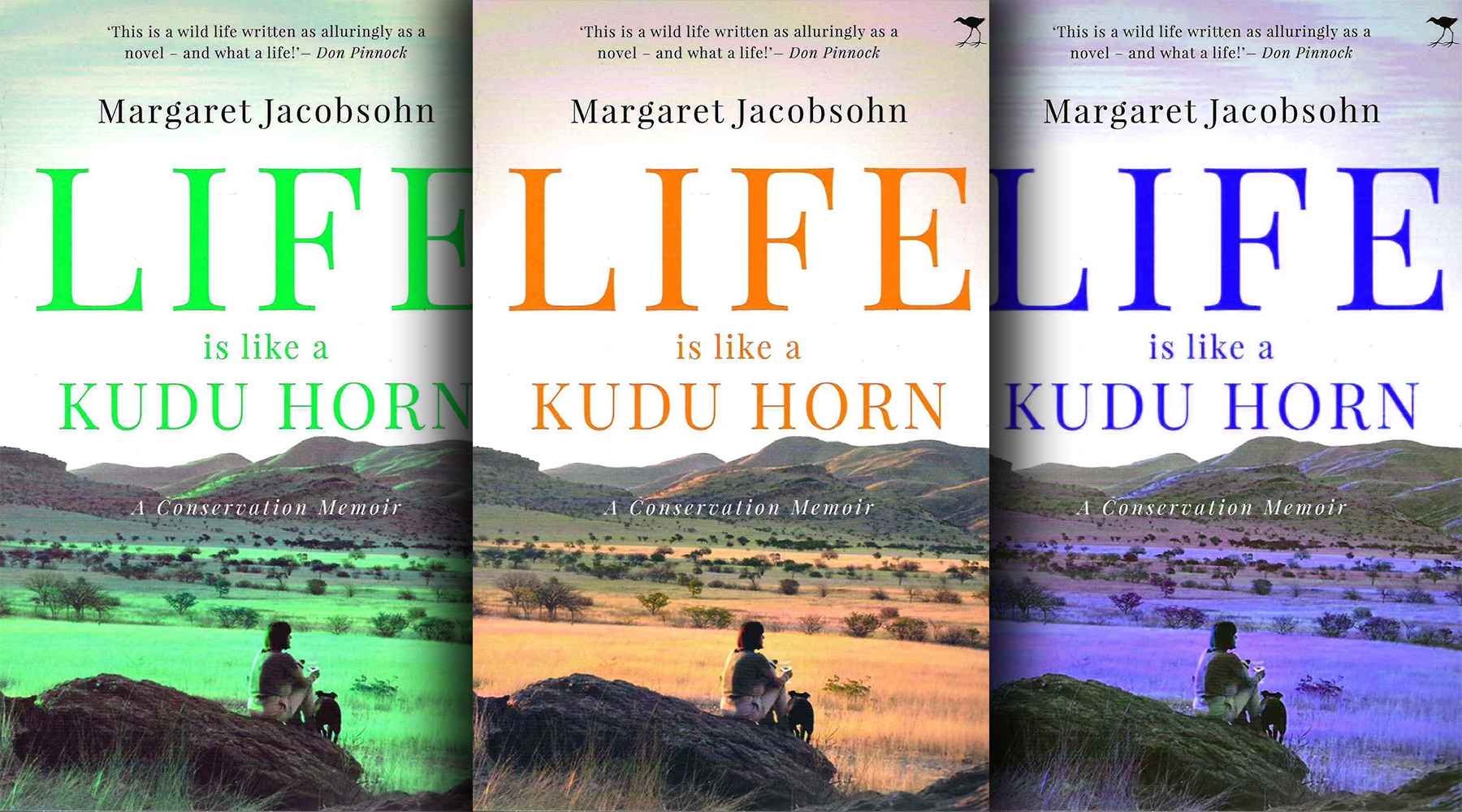 A slice of learning from the cake of Kaokoveld culture