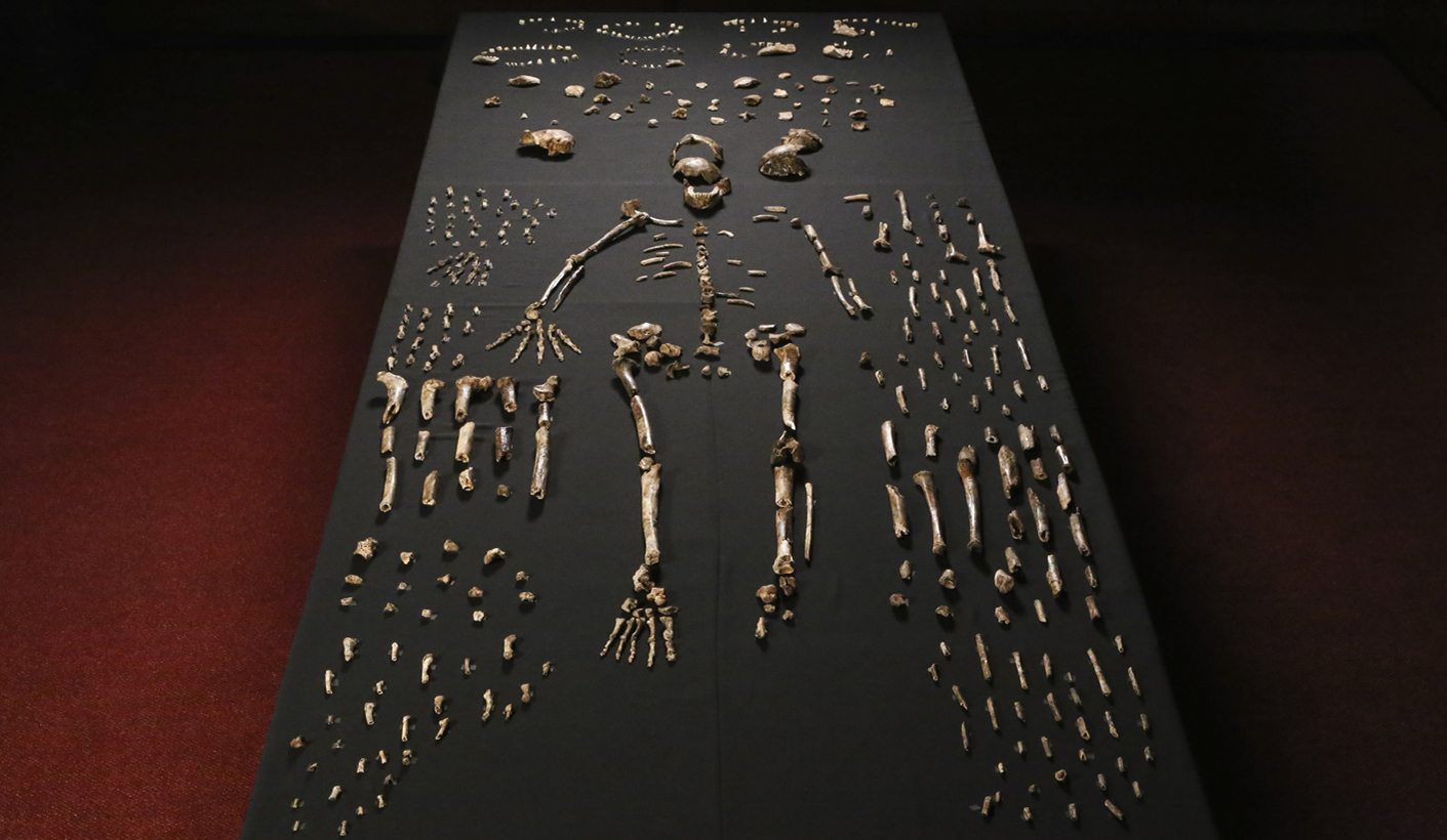 Meet the neighbours – Homo naledi’s coming out party