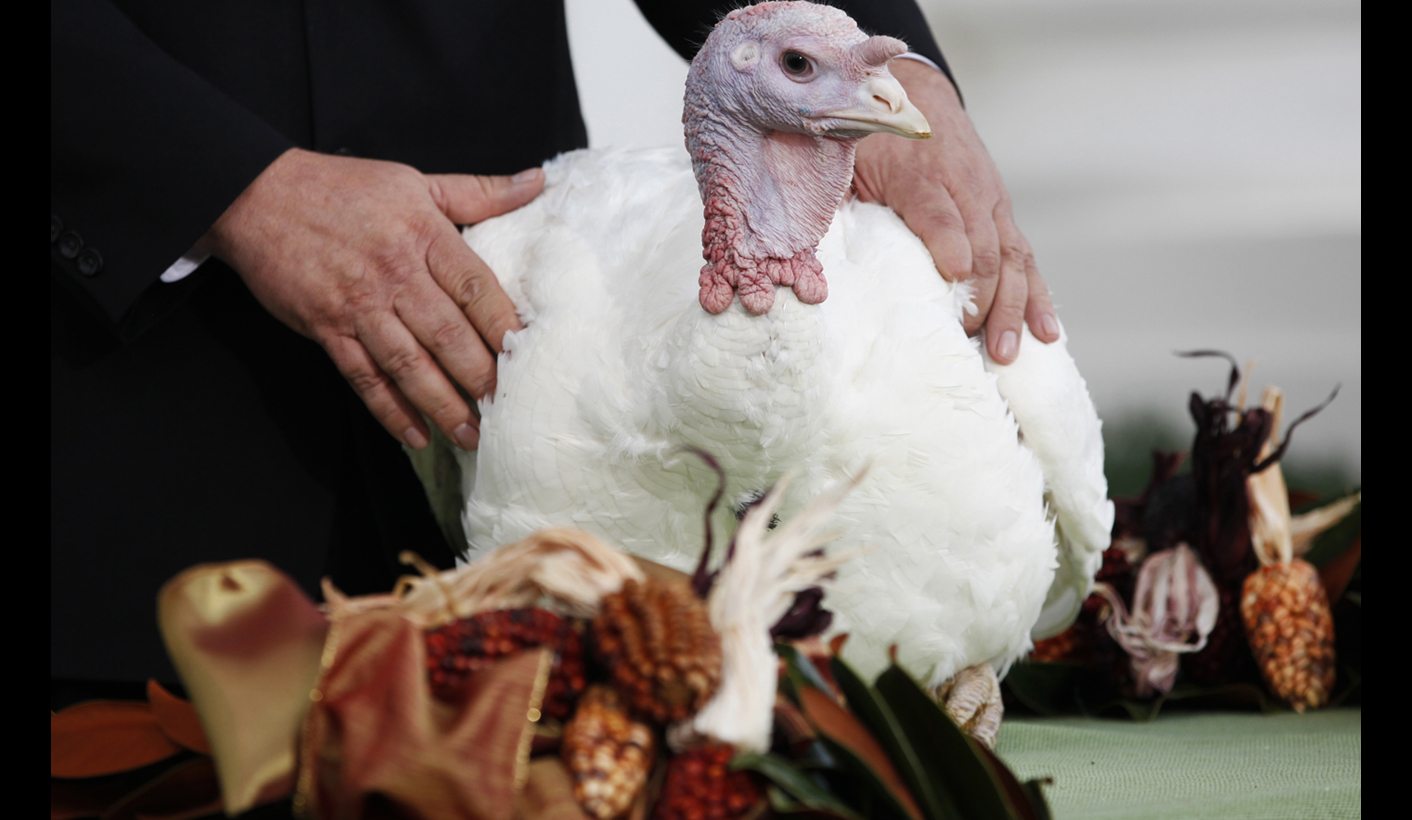 Thanksgivukkah: when two religious holidays collide