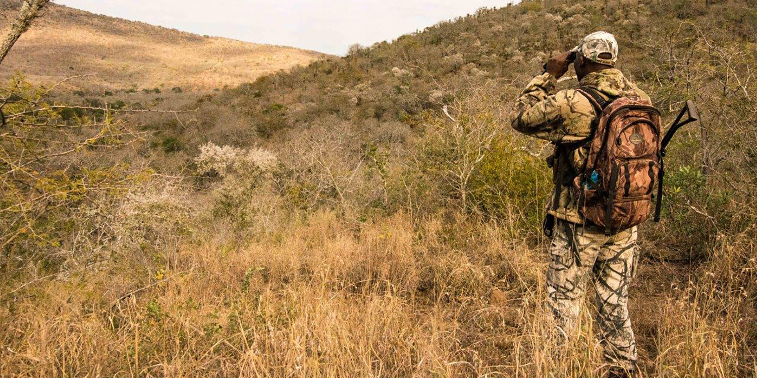 Covid-19 could ‘devastate’ nature and parks without emergency funding plan