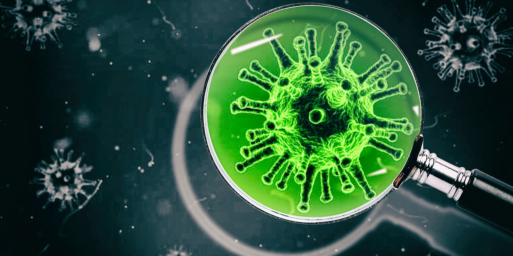 The reader’s and viewer’s guide to pathogen literature