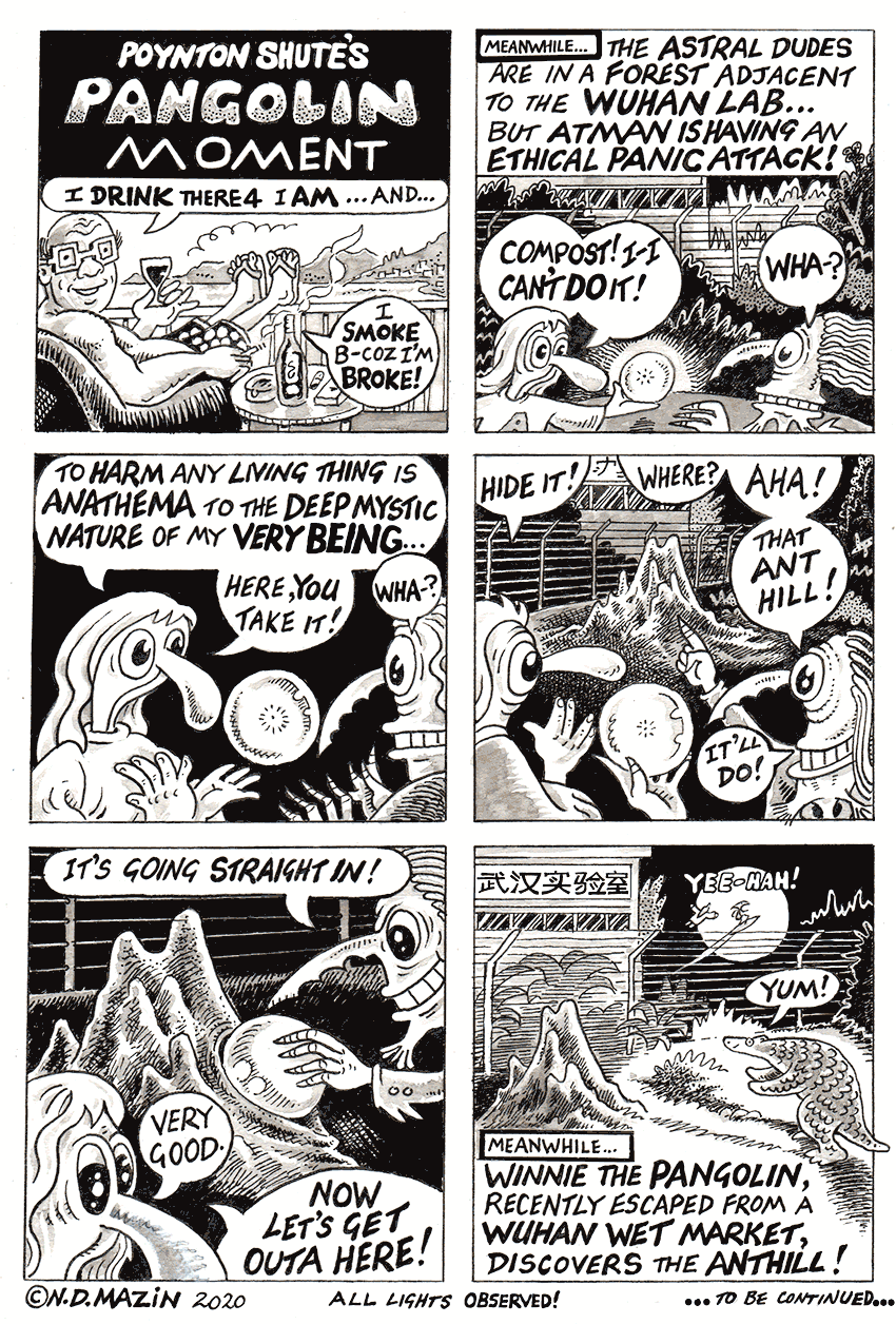 Poynton Shute’s Coronavirus Novel