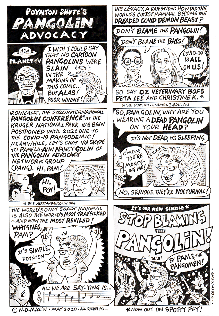 Poynton Shute’s Coronavirus Novel