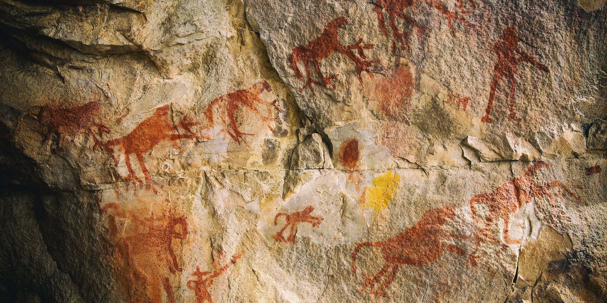 Secrets in the genes – how ancient DNA sheds light on social changes in Africa 50,000 years ago