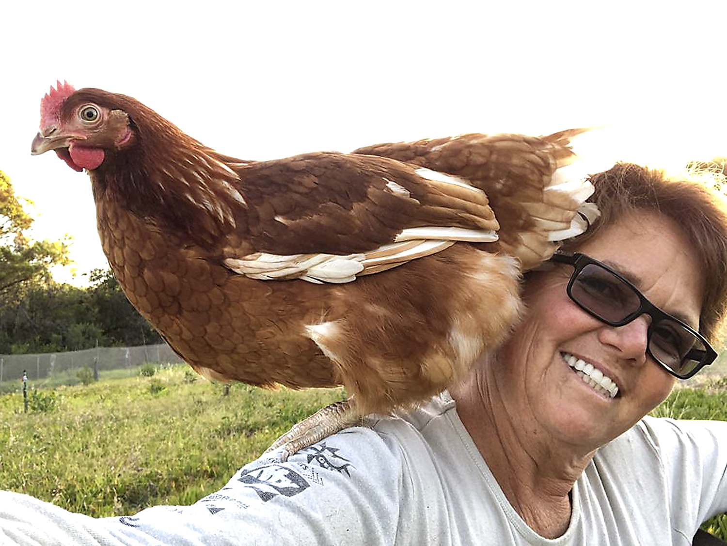 A story of small-town politics, chicken farming and Covid-19