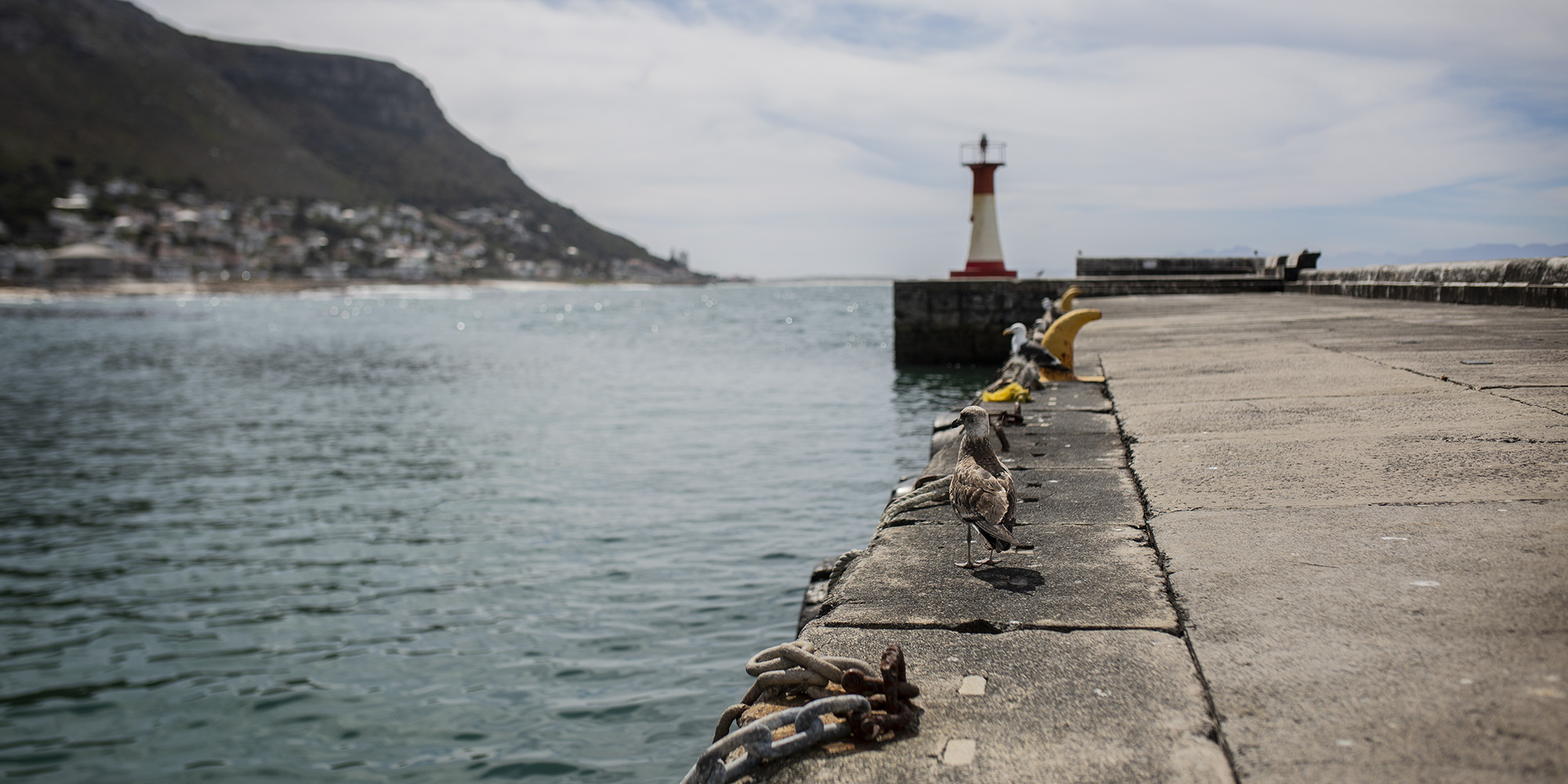 Ministers explain the blueprint of the impending lockdown