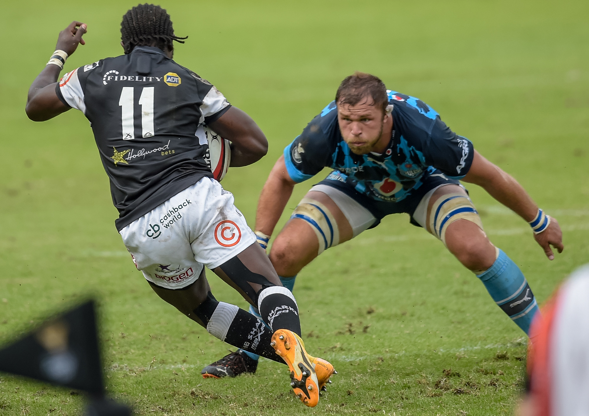 Bulls eye Rainbow Cup success in Italy while juniors start defence of Currie Cup