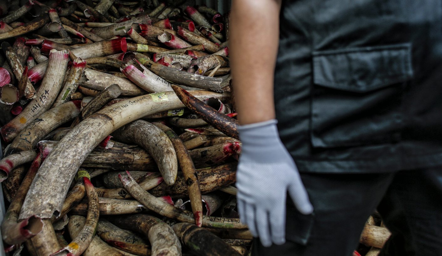Op-Ed: Can CITES cope with the illegal wildlife trade?
