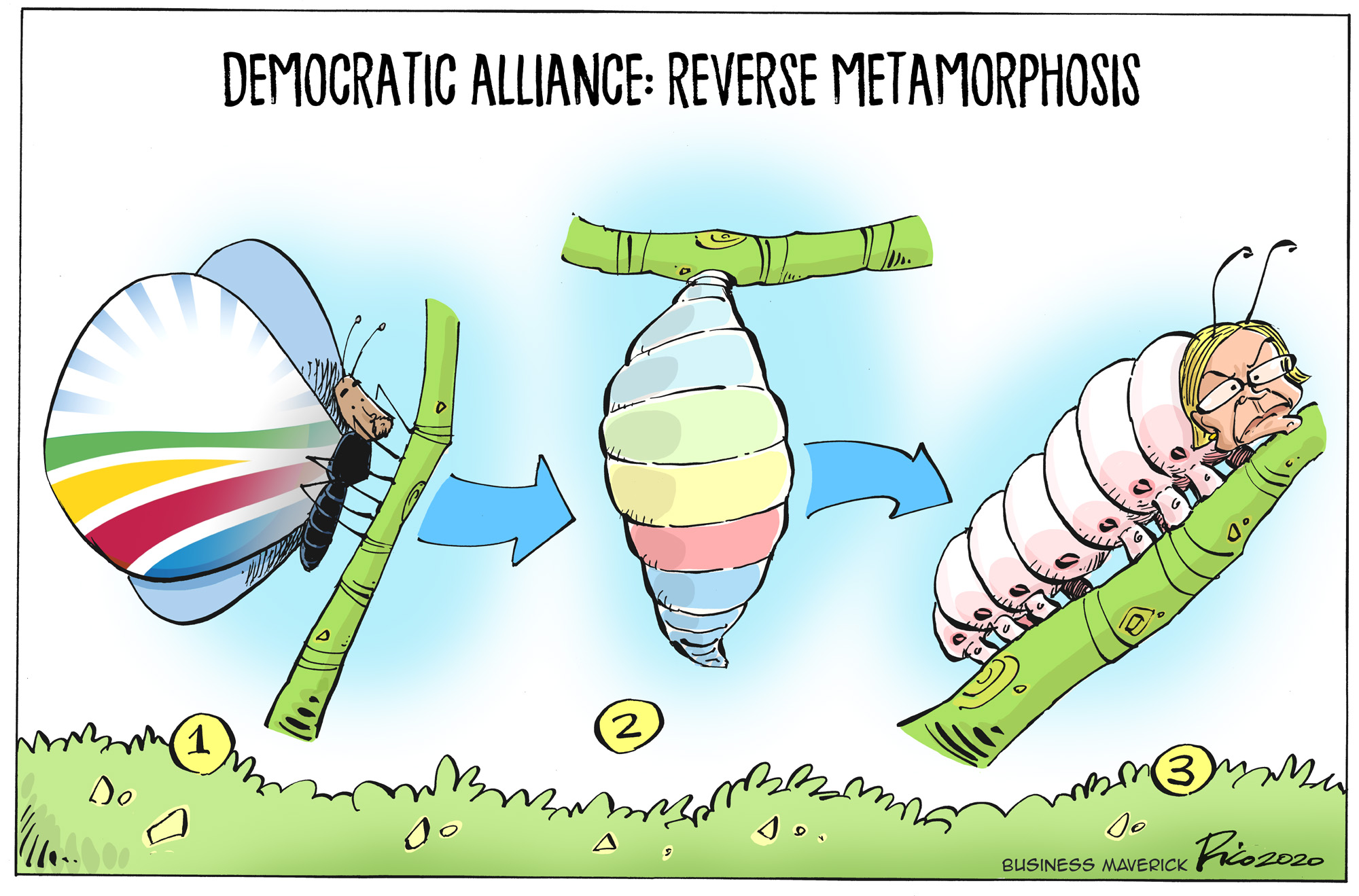 Cartoon Tuesday with Rico