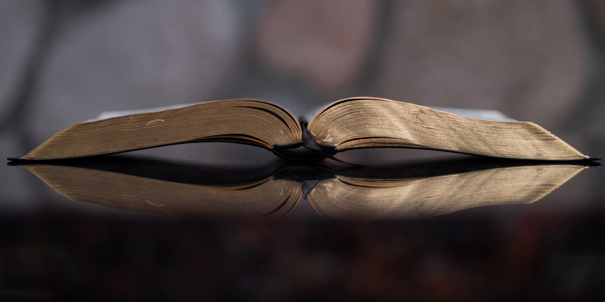 Beware the false ‘saviours’ and their snake-oil