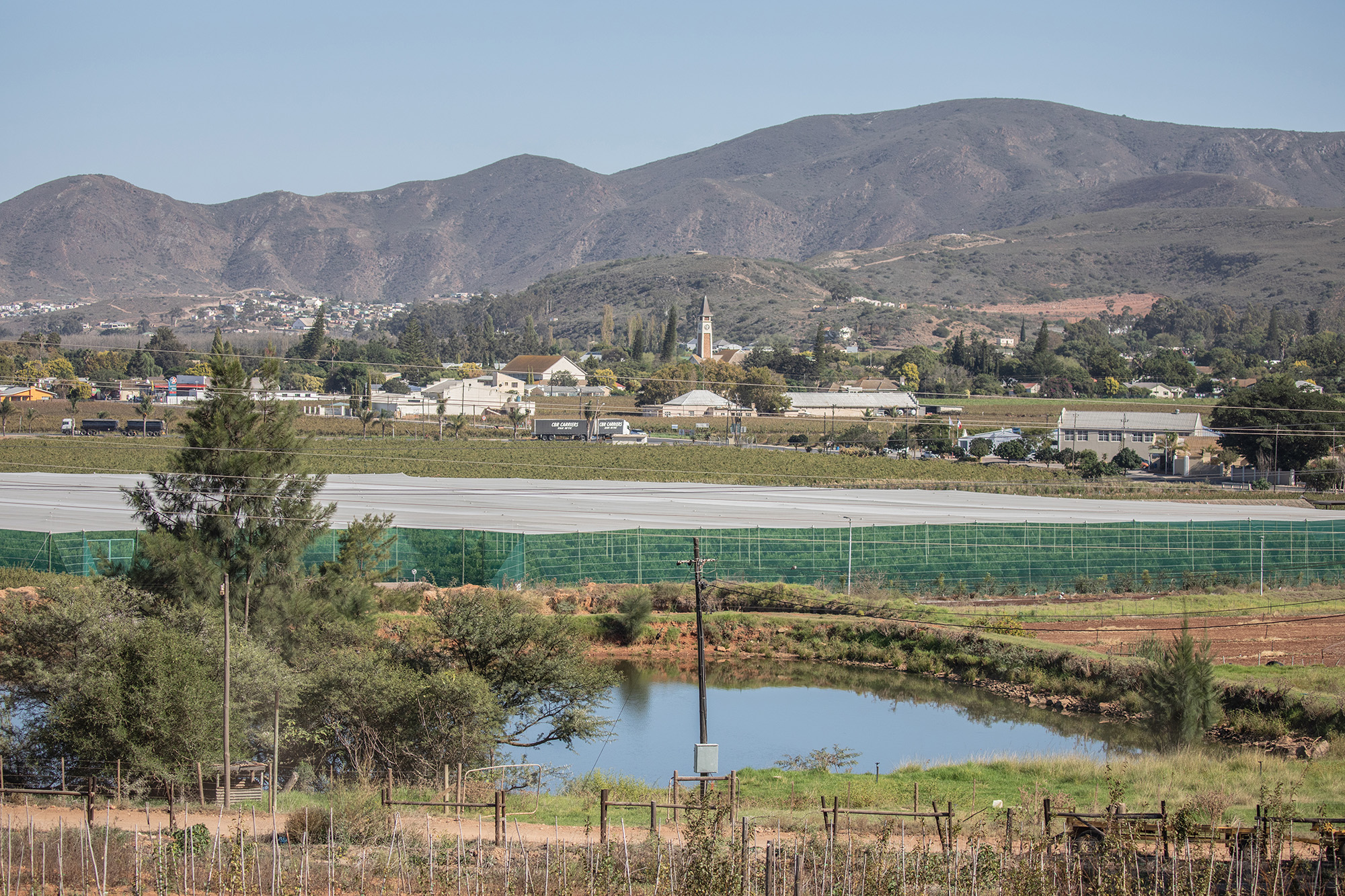 Hunt for escaped crocodiles continues in Cape winelands tourist valley