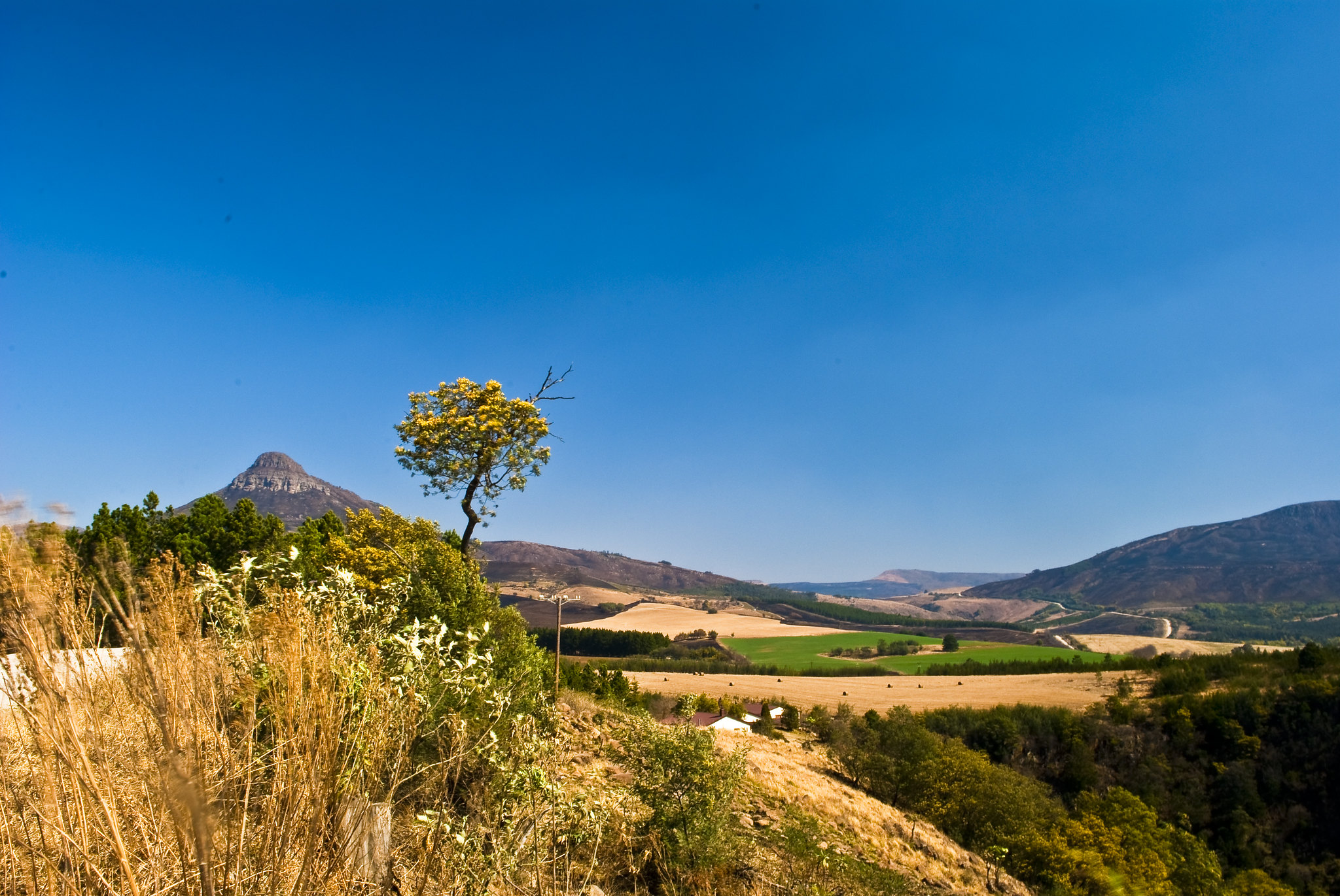 Day trip: To greener pastures - a trip to the Midlands