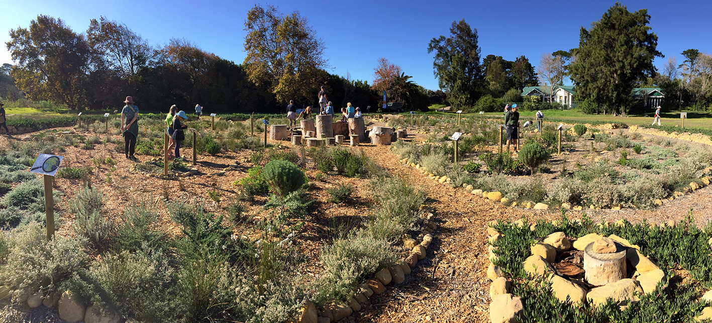 Veld circles are creating custodians of Cape Town’s biodiversity