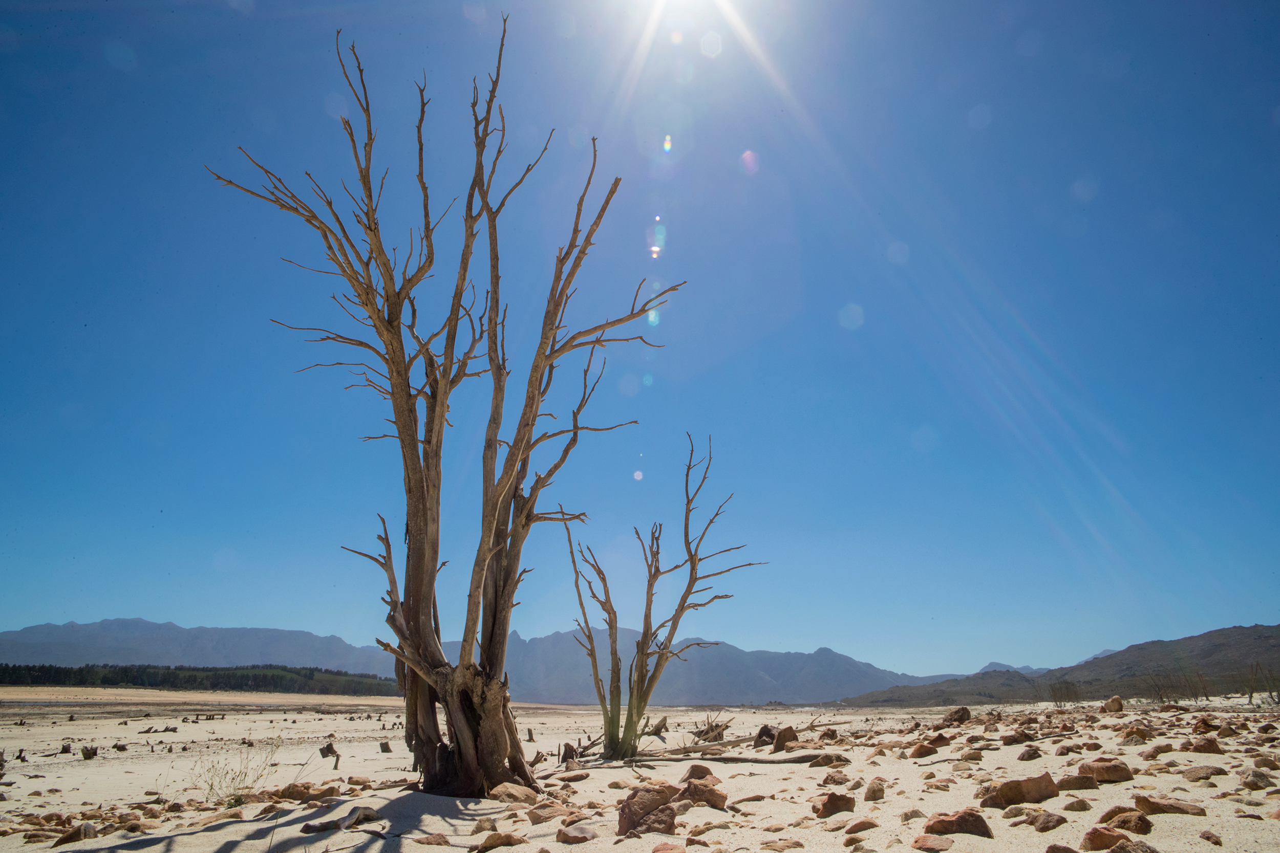 Drought Stricken Landscape In Area Of Western Cape In South Africa