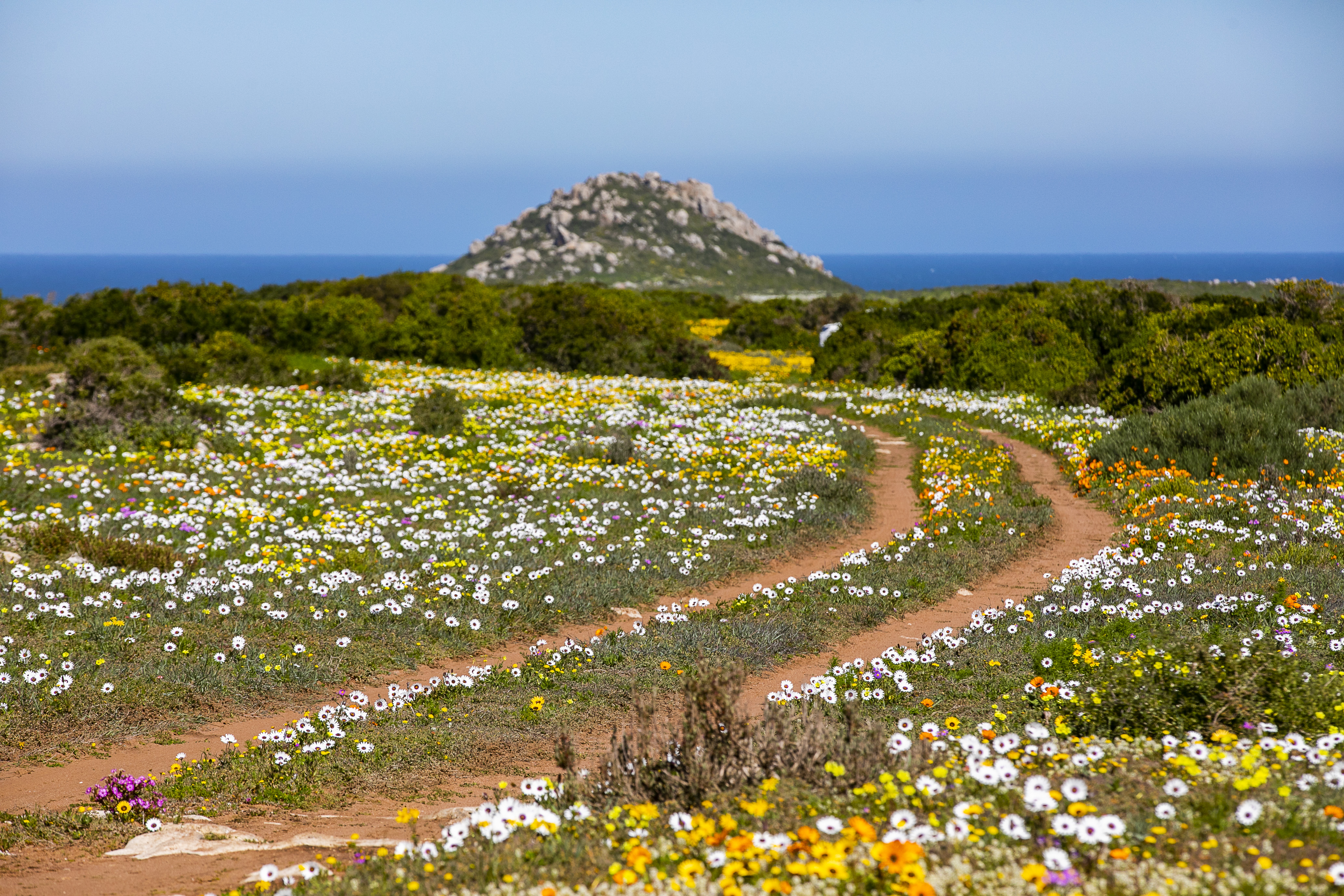 A lazy day trip to the West Coast National Park