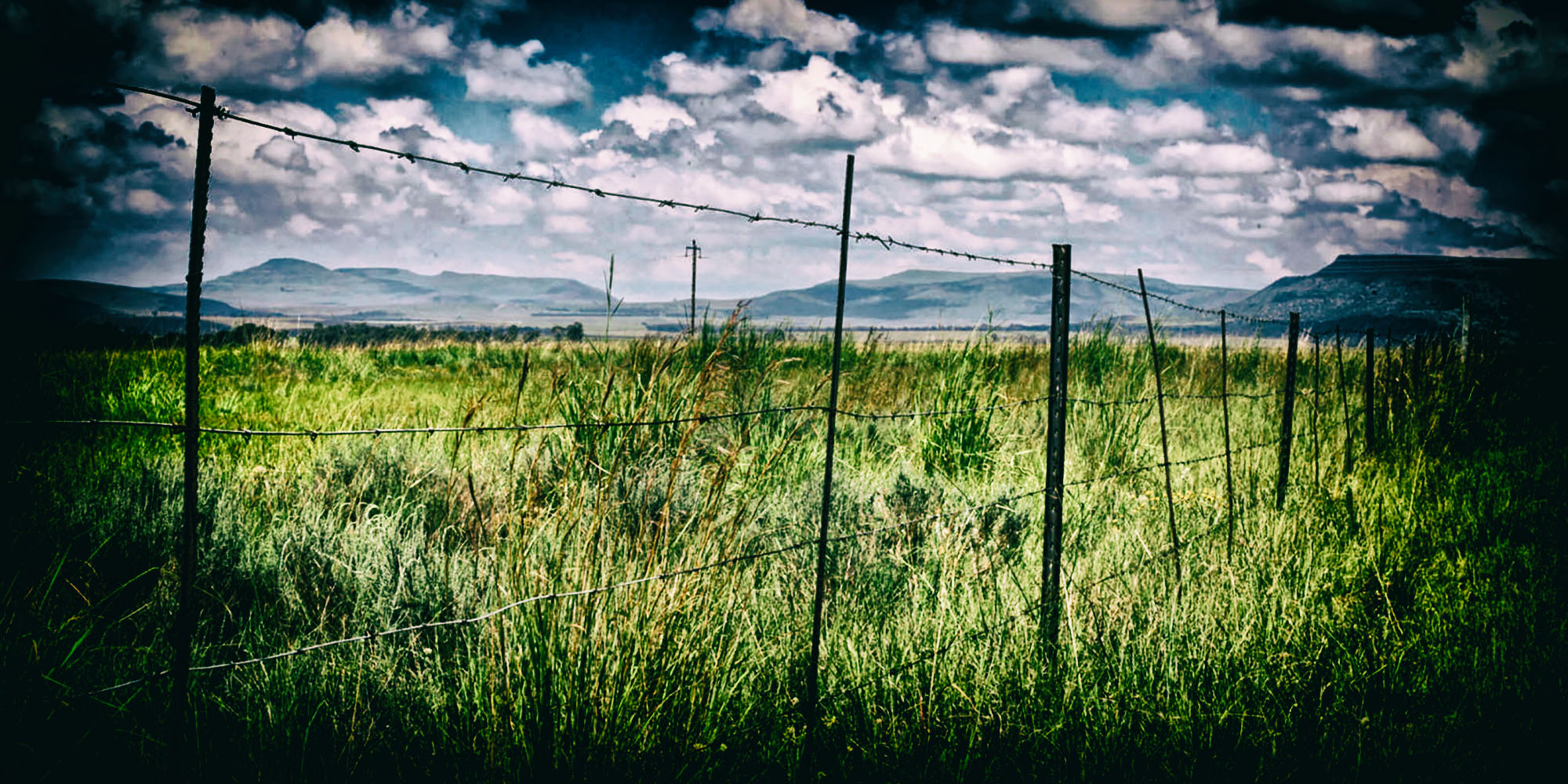 NPA plans to reinstate struck-off Estina Dairy case, as State Capture questions persist