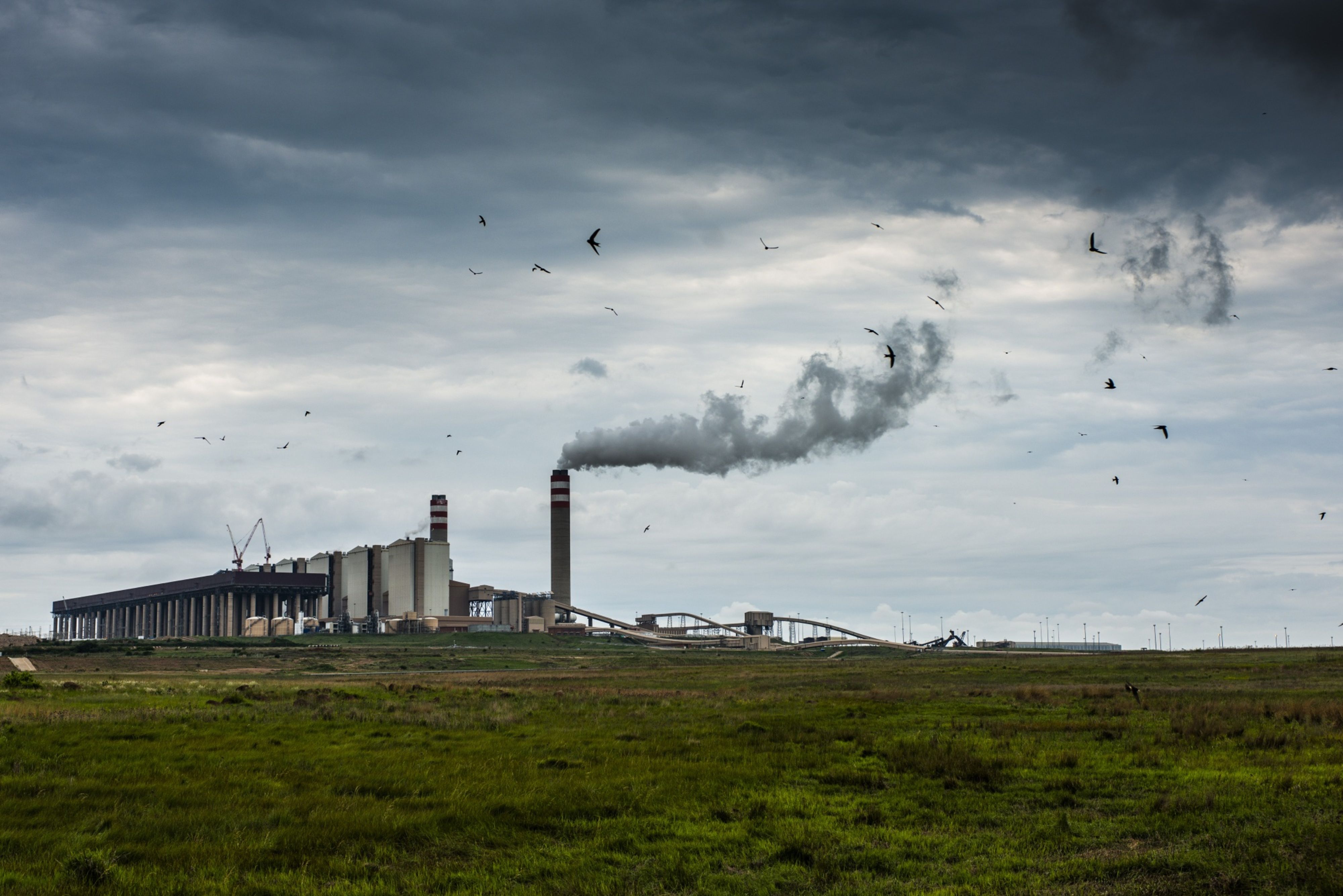 Union disunity holds up Cosatu's Eskom bailout idea