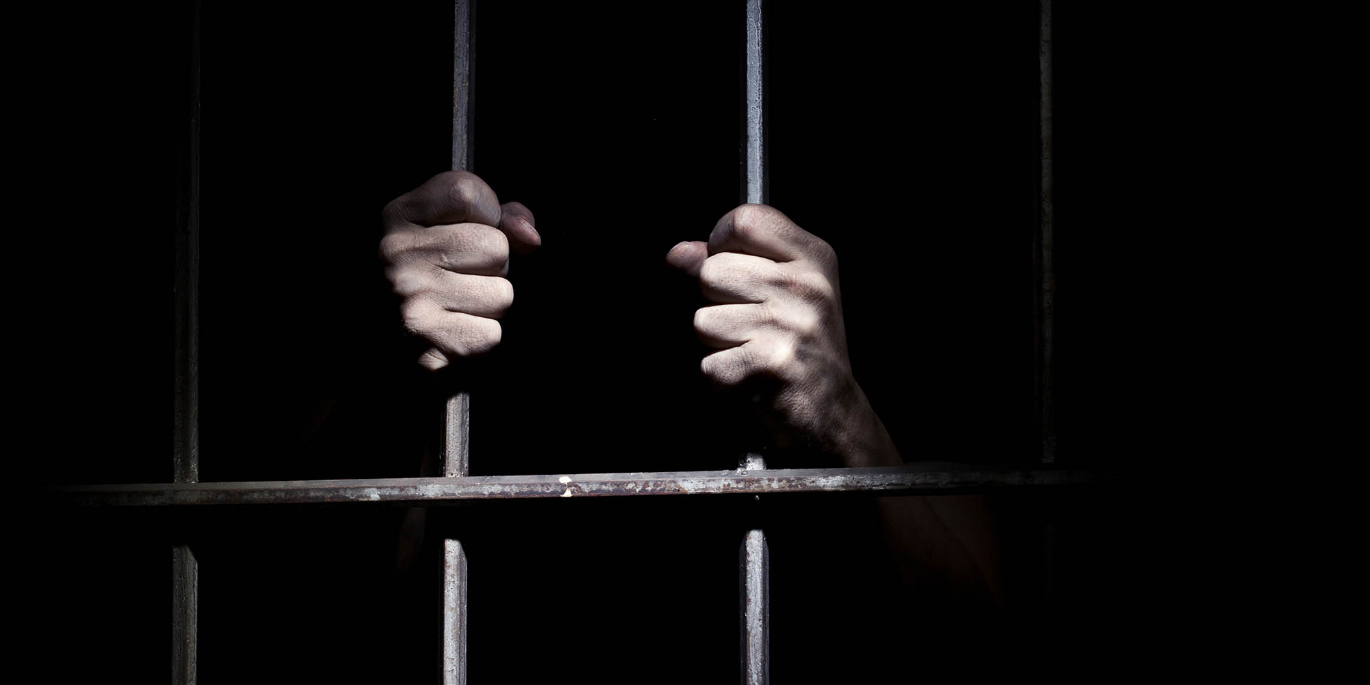 Men incarcerated for talking to monkey owner win damages case against police