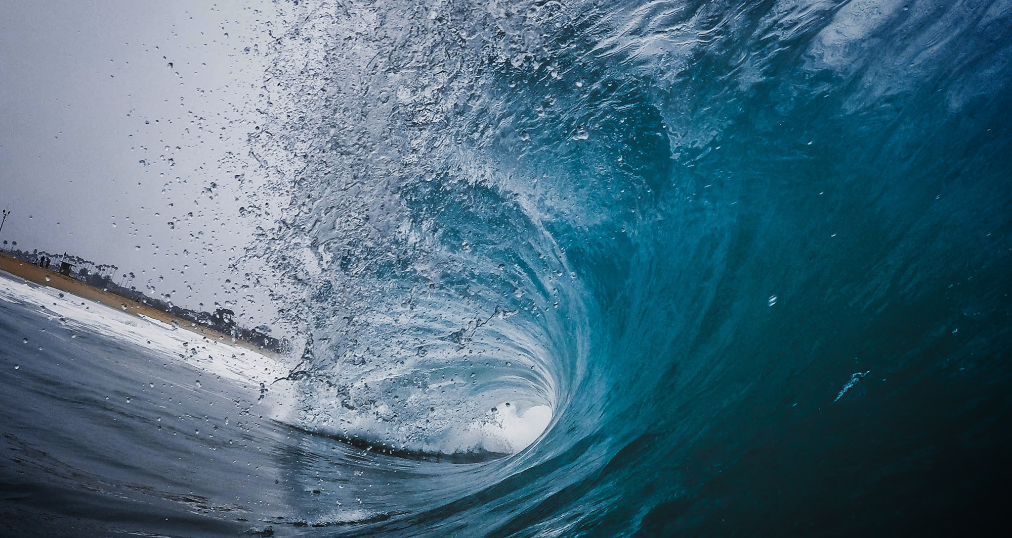 Salim Abdool Karim: ‘Covid-19 reinfections can occur’