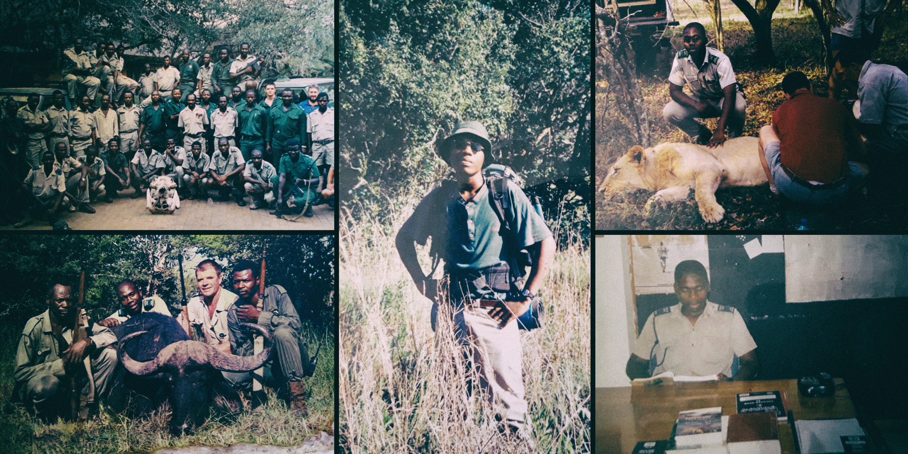 The race science blowup: Black and green are a natural fit