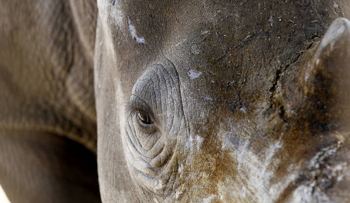 FIVE MINUTES: South Africa