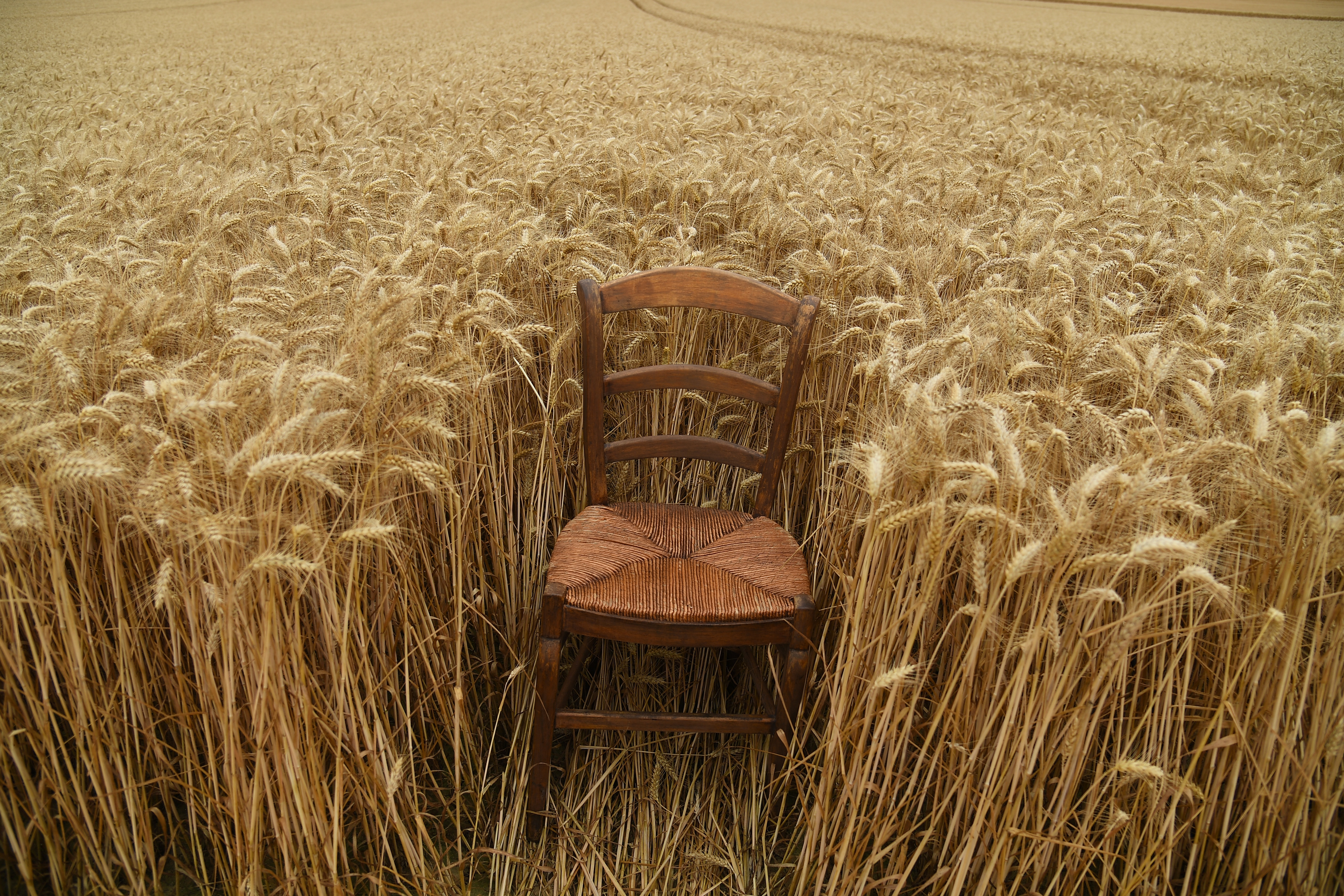 Sweet dreams are made of this