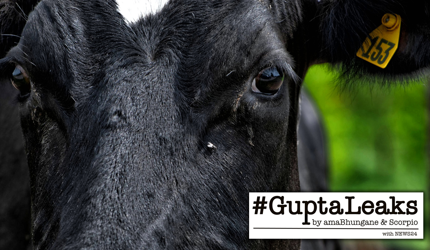 From the archives: amaBhungane and Scorpio #GuptaLeaks: The Dubai Laundromat – How millions milked from Free State government paid for Sun City wedding