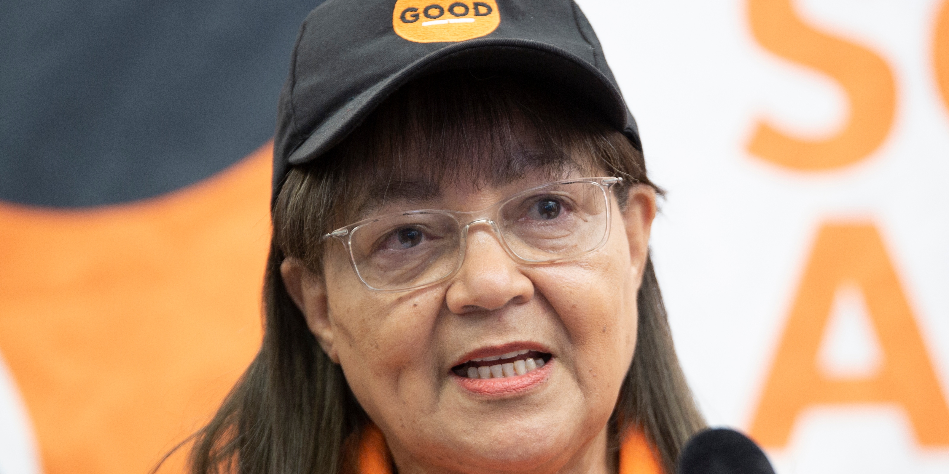 DA to challenge Independent Electoral Commission order to apologise to De Lille