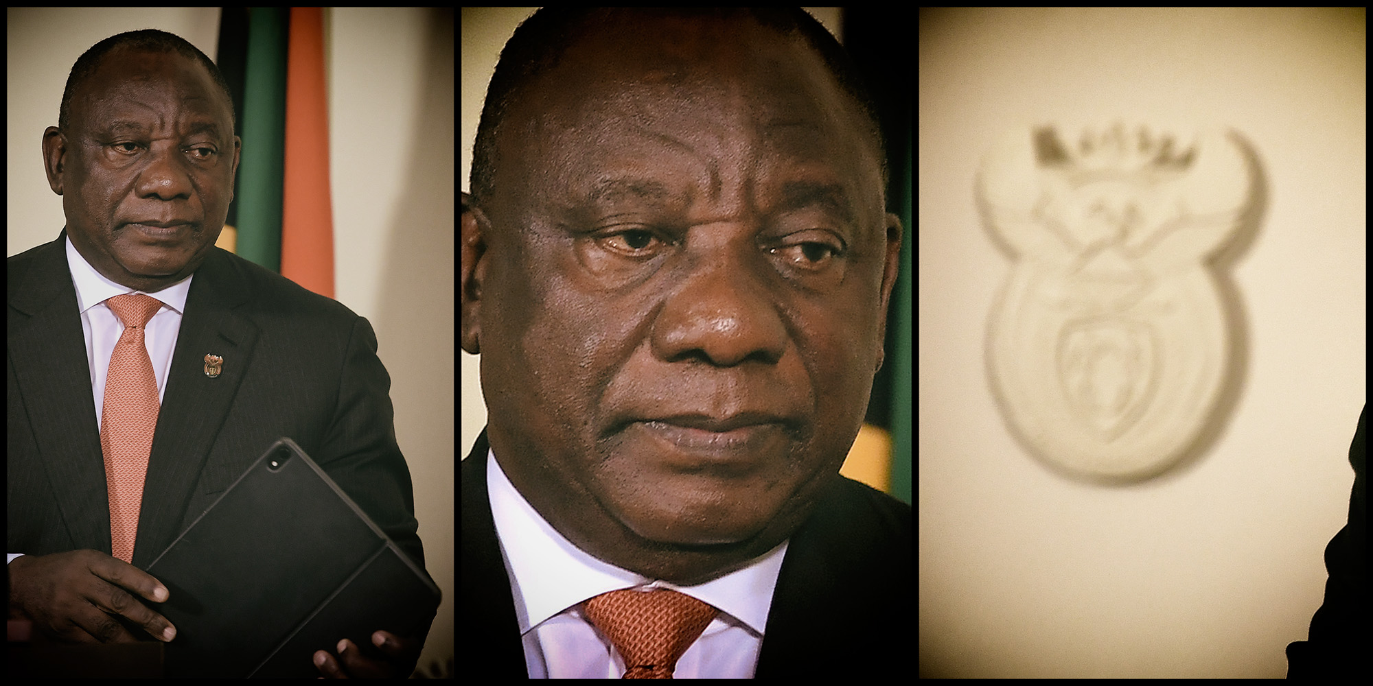 Democracy in a time of pandemonium