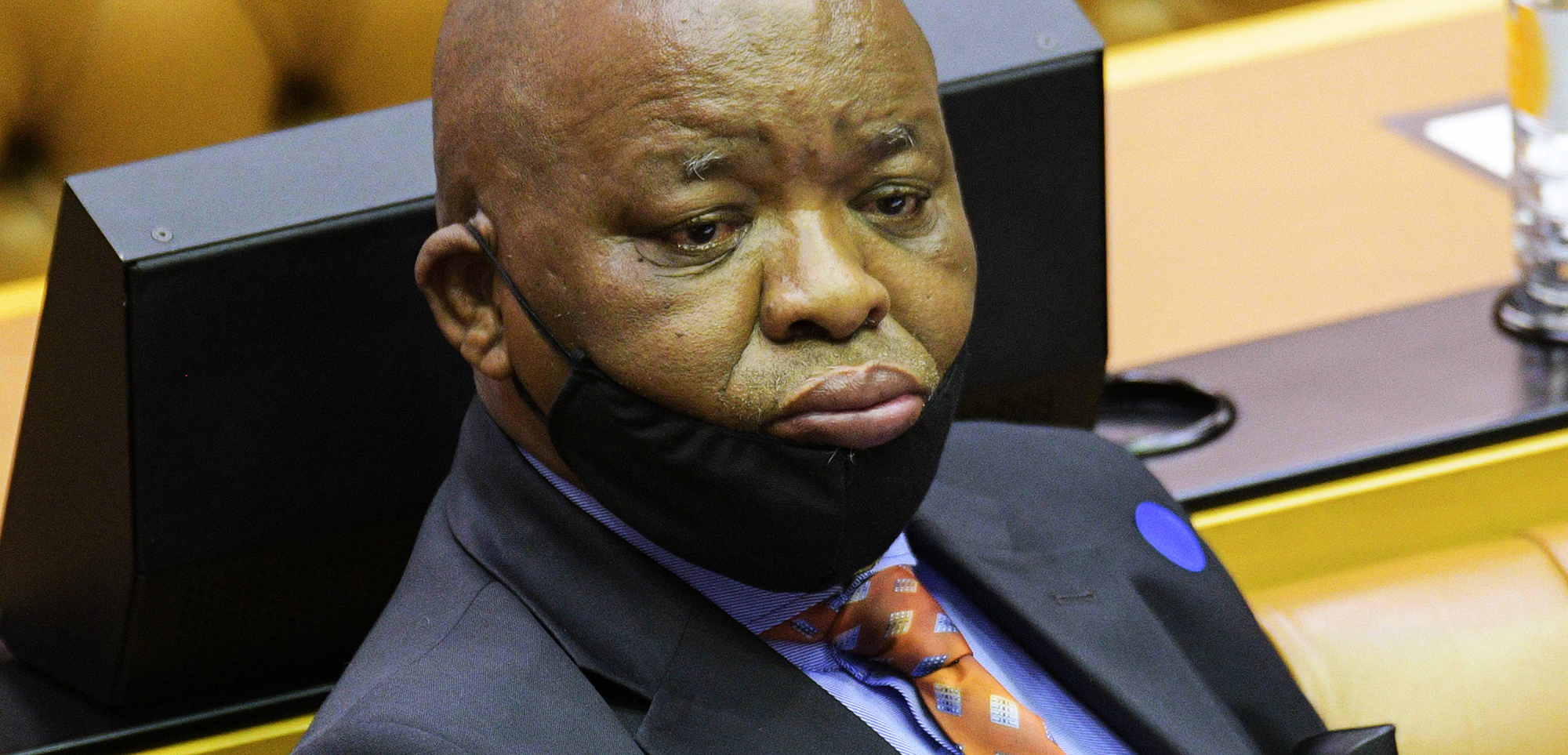 Gwede Mantashe tells State Capture Commission he was never ‘amenable’ to bribes