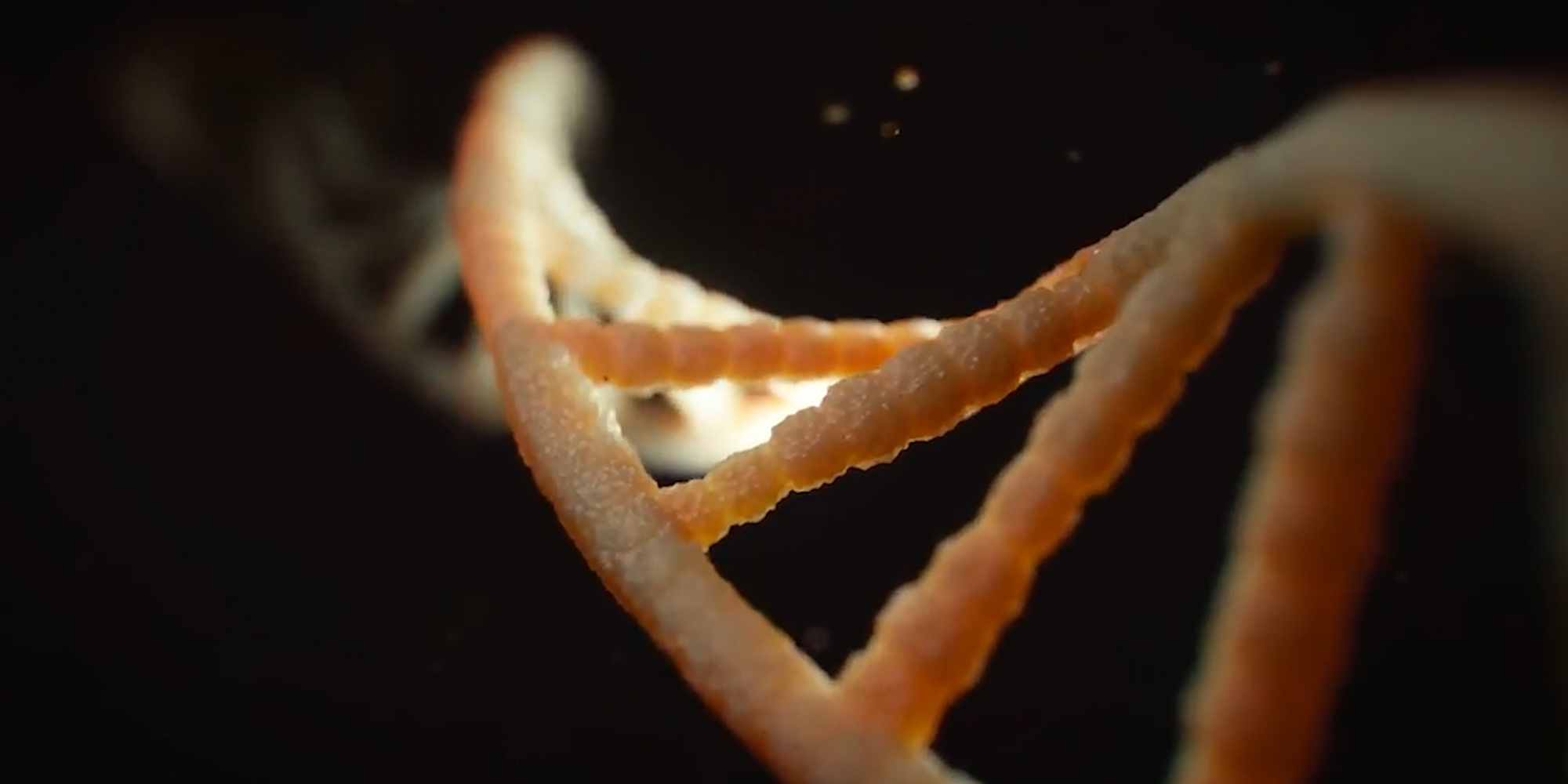 Caught in the intersex no-person’s-land