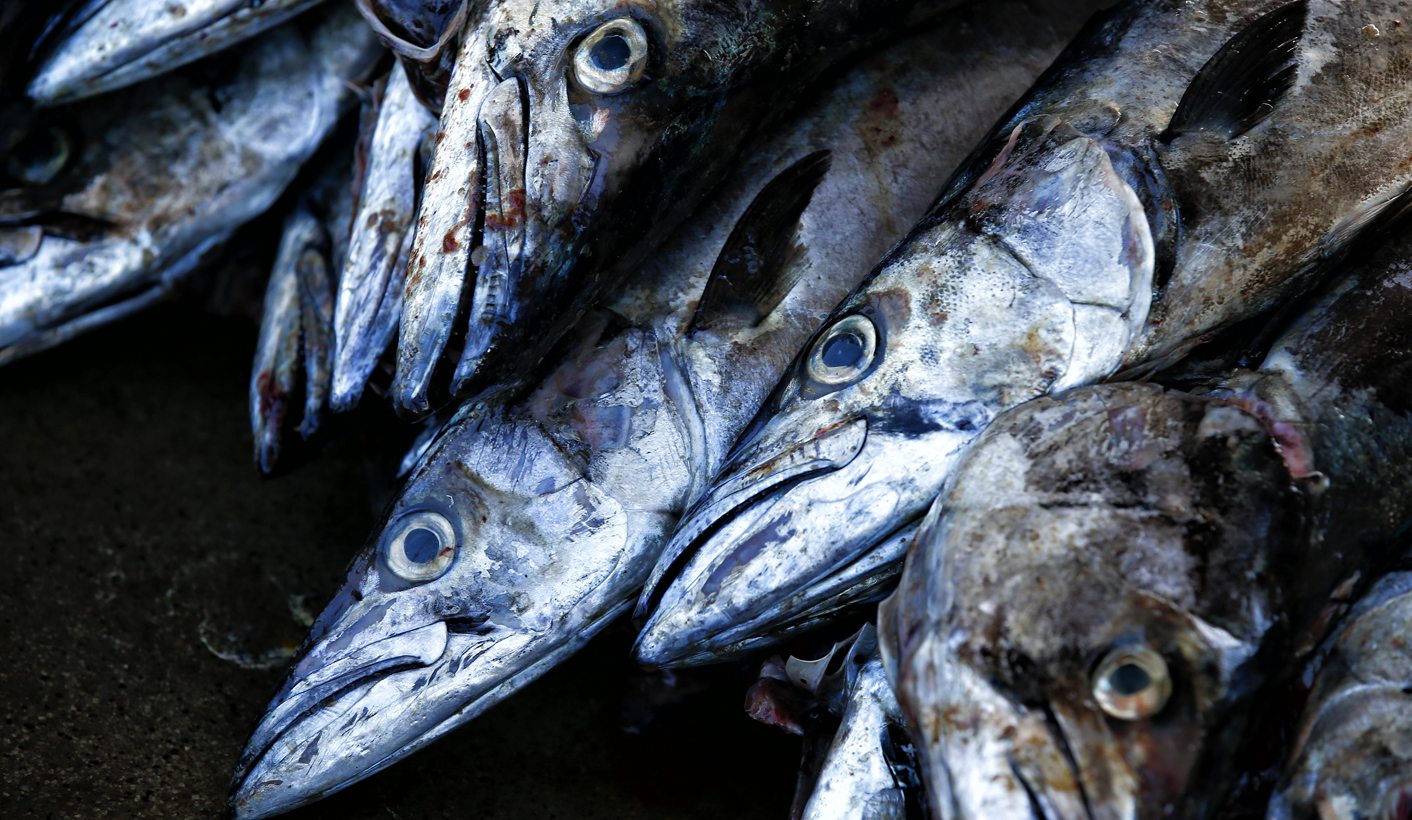 Op-Ed: Is southern Africa running out of fish?