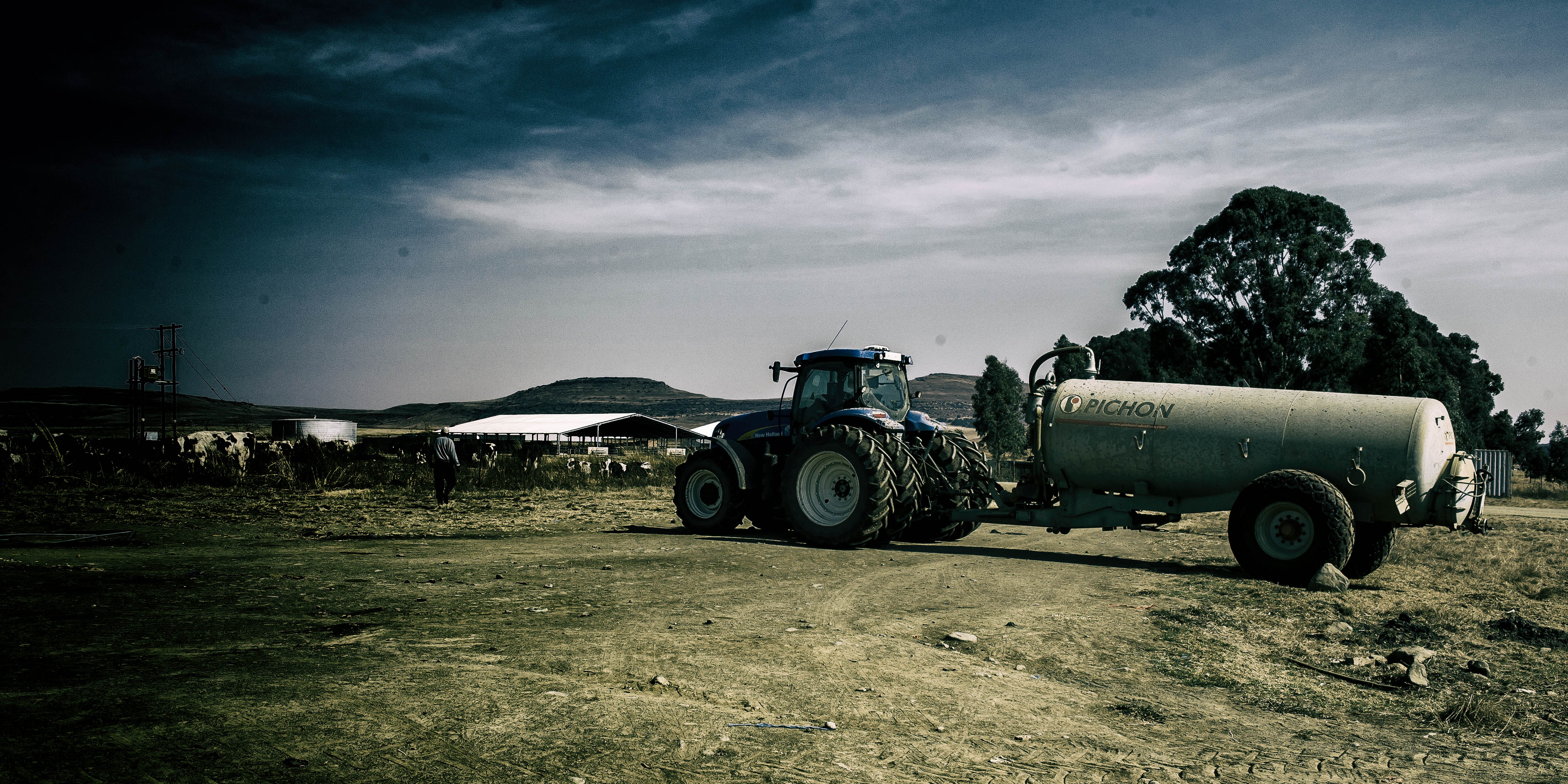 The Estina/Vrede dairy scandal: A Gupta project from beginning to end