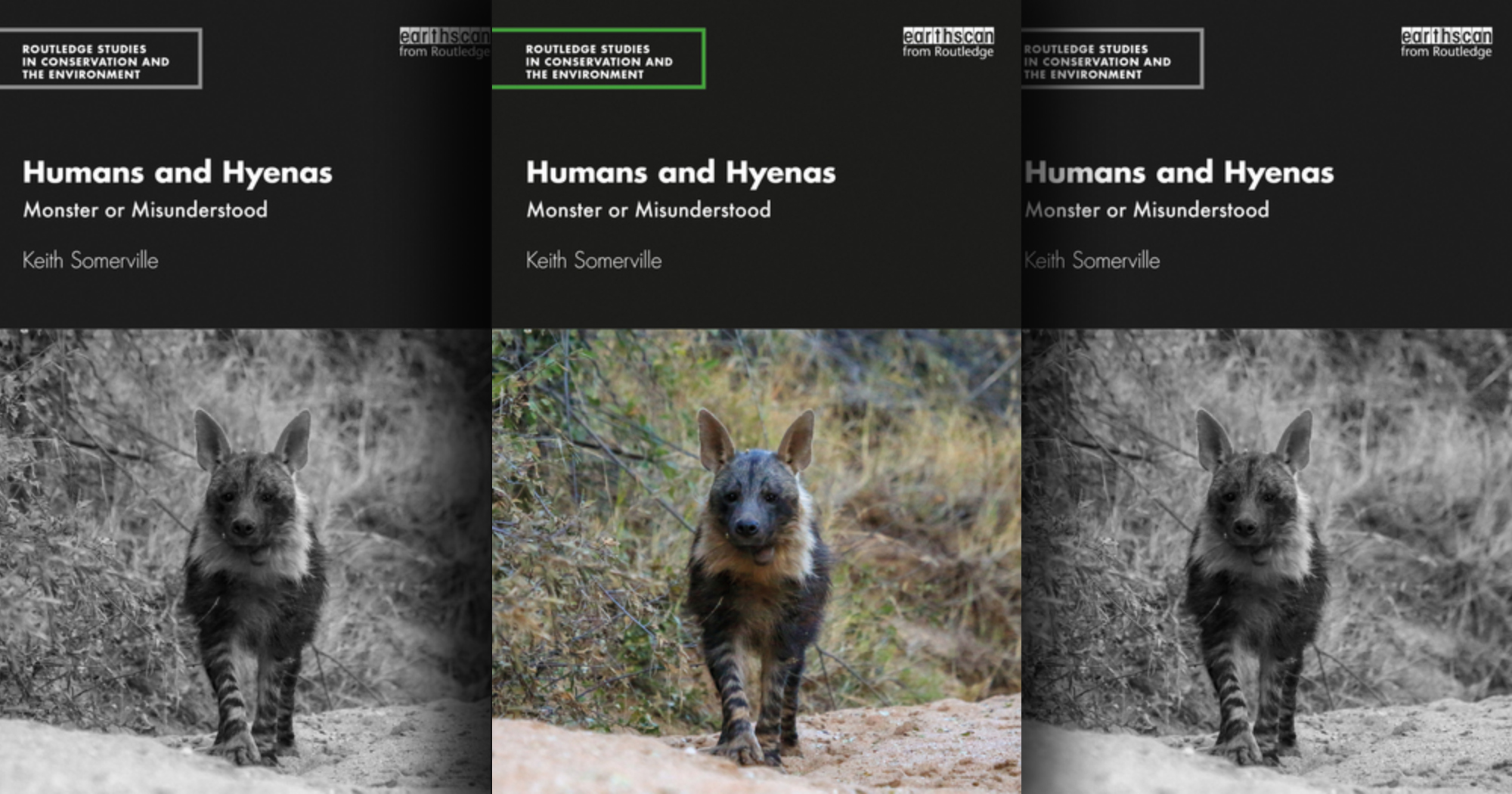 Setting the record straight on the much maligned hyena