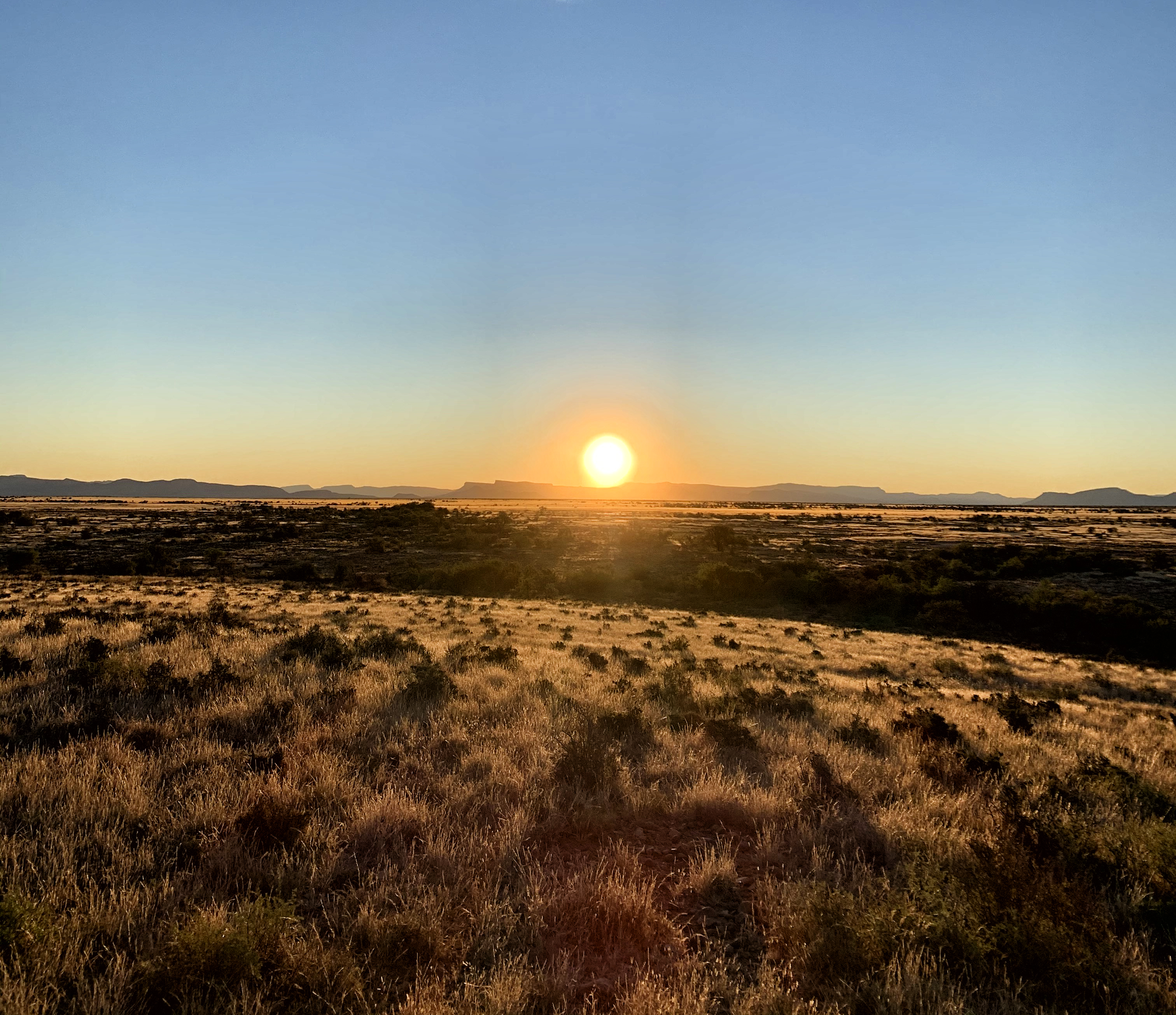 Beyond the doomsday machine: Reimagining economic policies and practice in a post-Covid world 