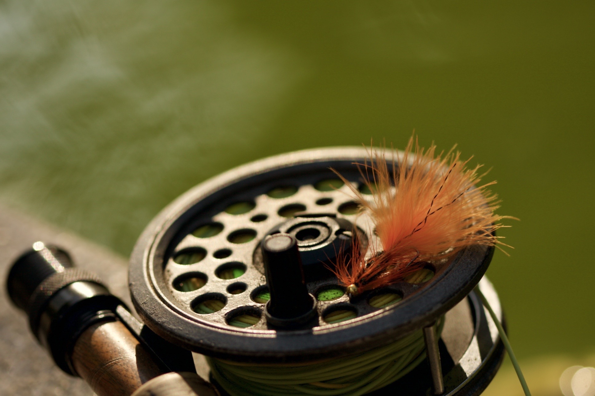 A River Runs Through April: This Angler has the Covid-19 lockdown Trout and Barbel Blues