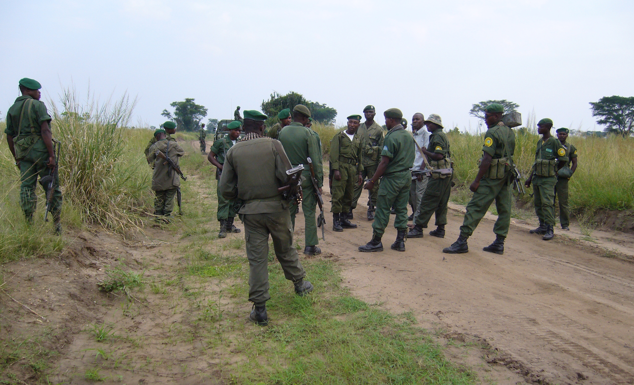 DRC prioritises oil over conservation