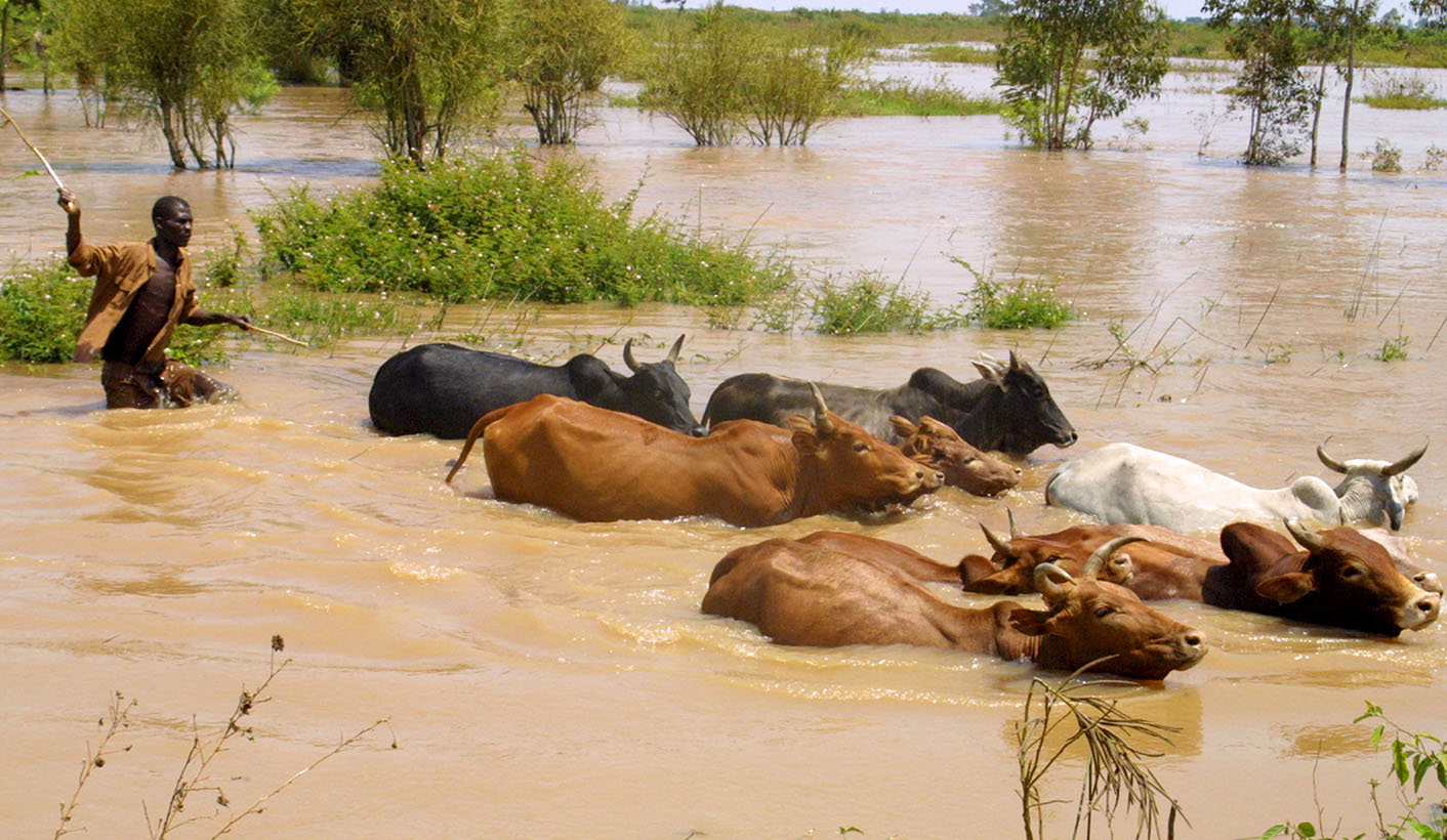 ISS Today: Africa’s violent trade in cattle, guns and bullets