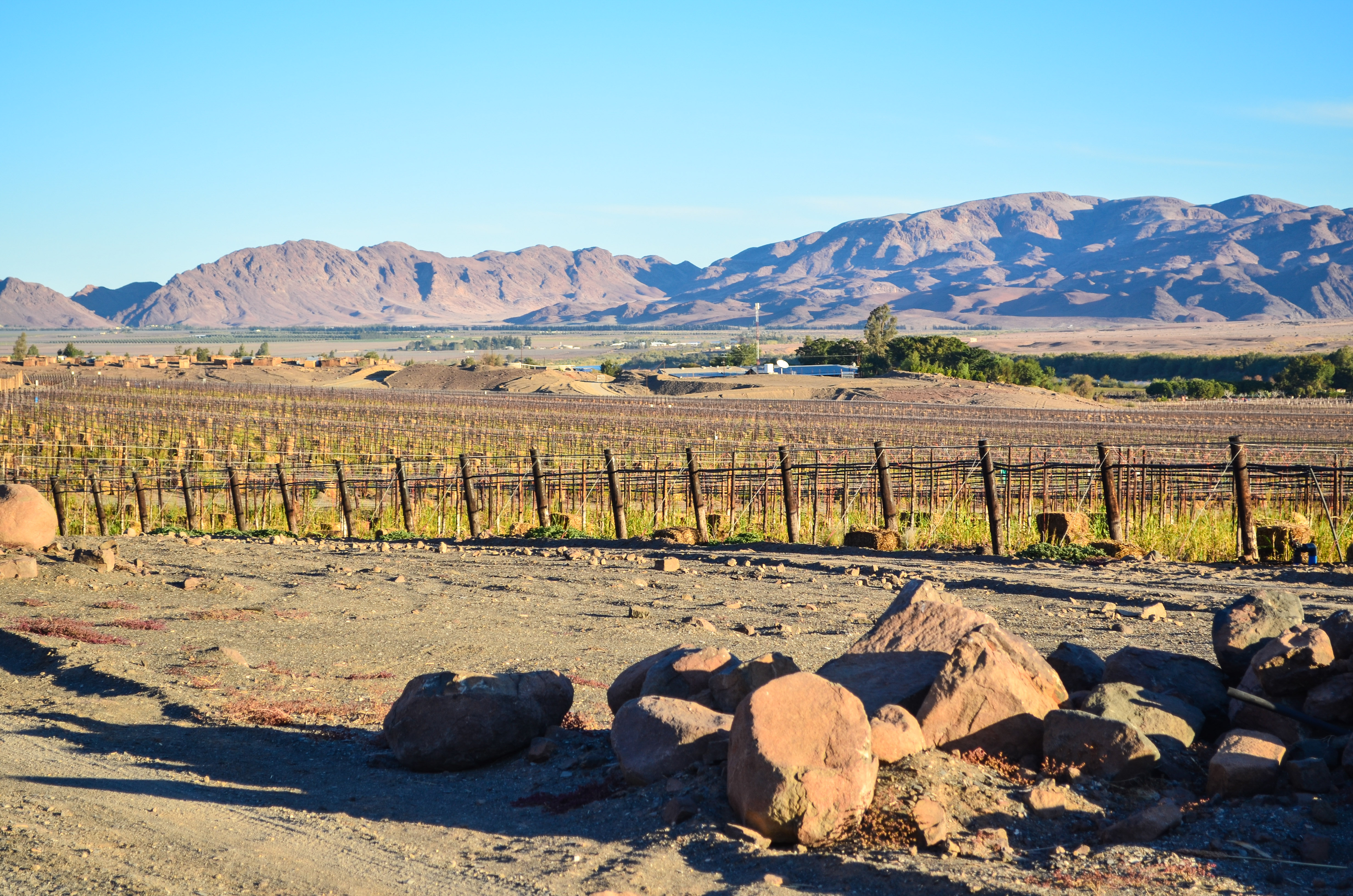 How alike is land reform in Namibia and South Africa?